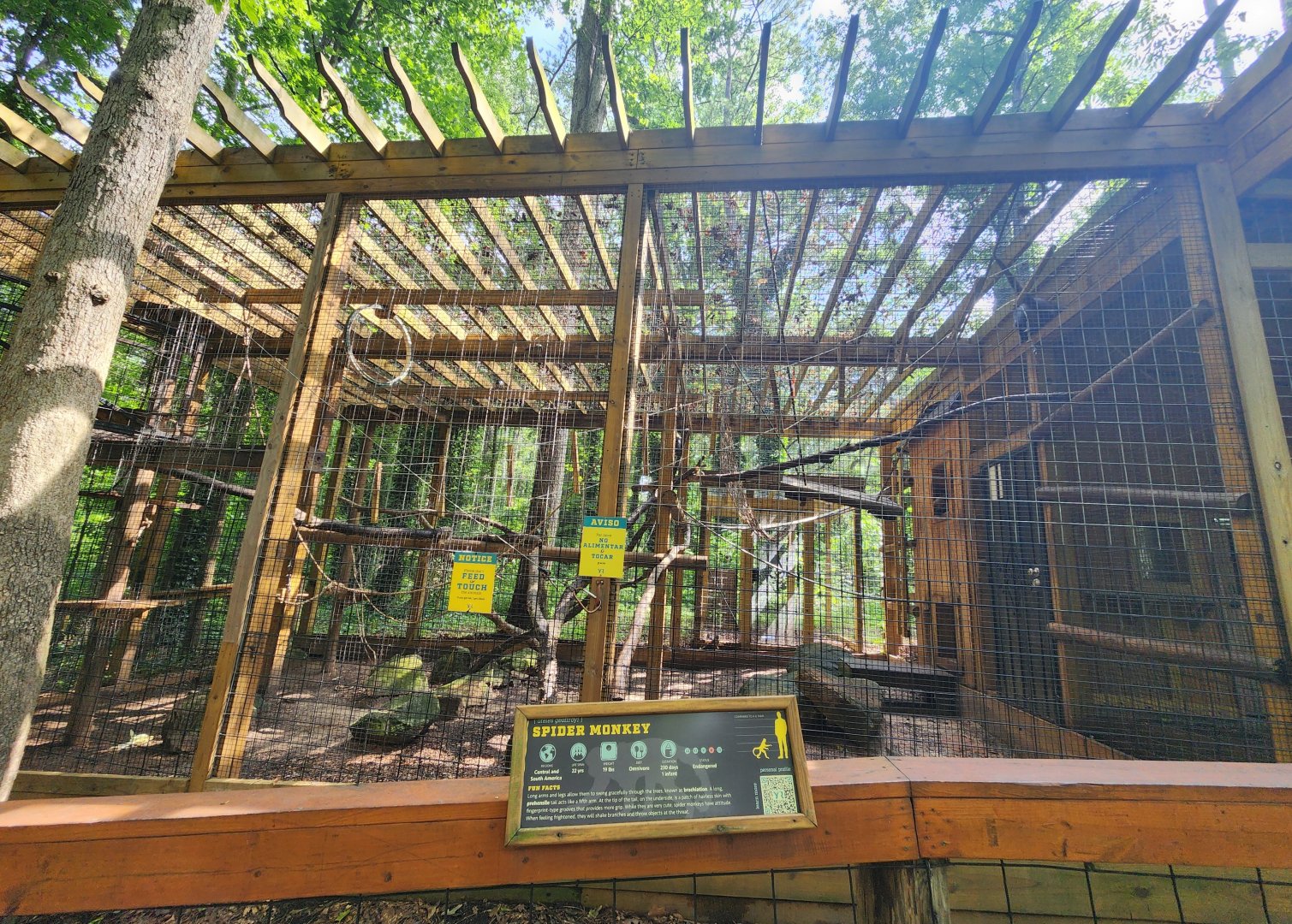 Yellow River Wildlife Sanctuary - Spider monkey exhibit