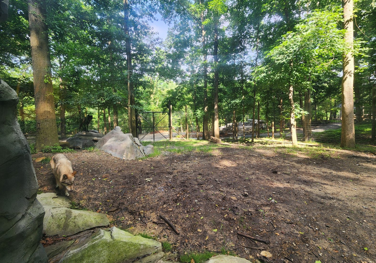 Yellow River Wildlife Sanctuary - Wolf exhibit