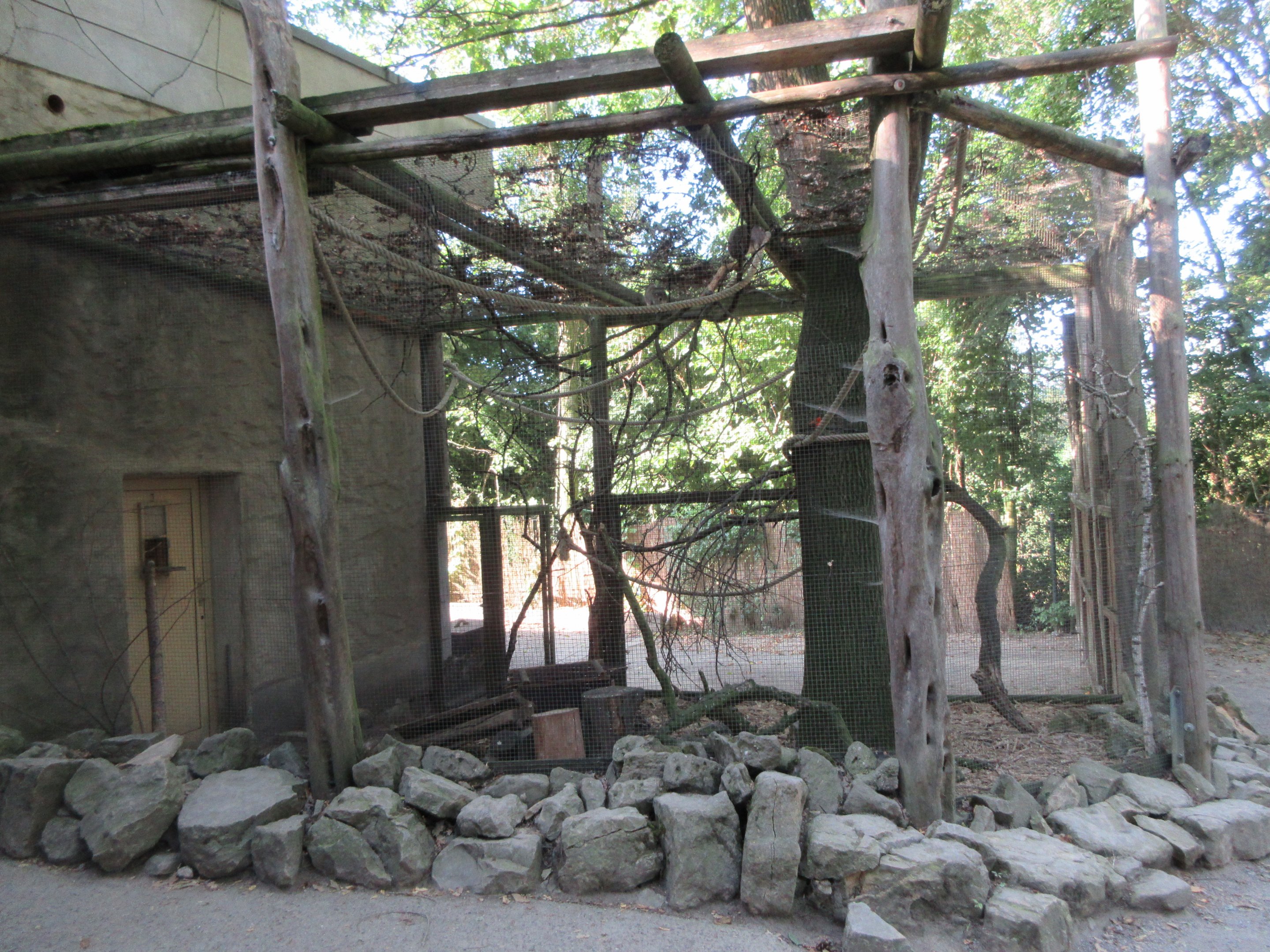 Yellow-spotted Rock Hyrax Exhibit