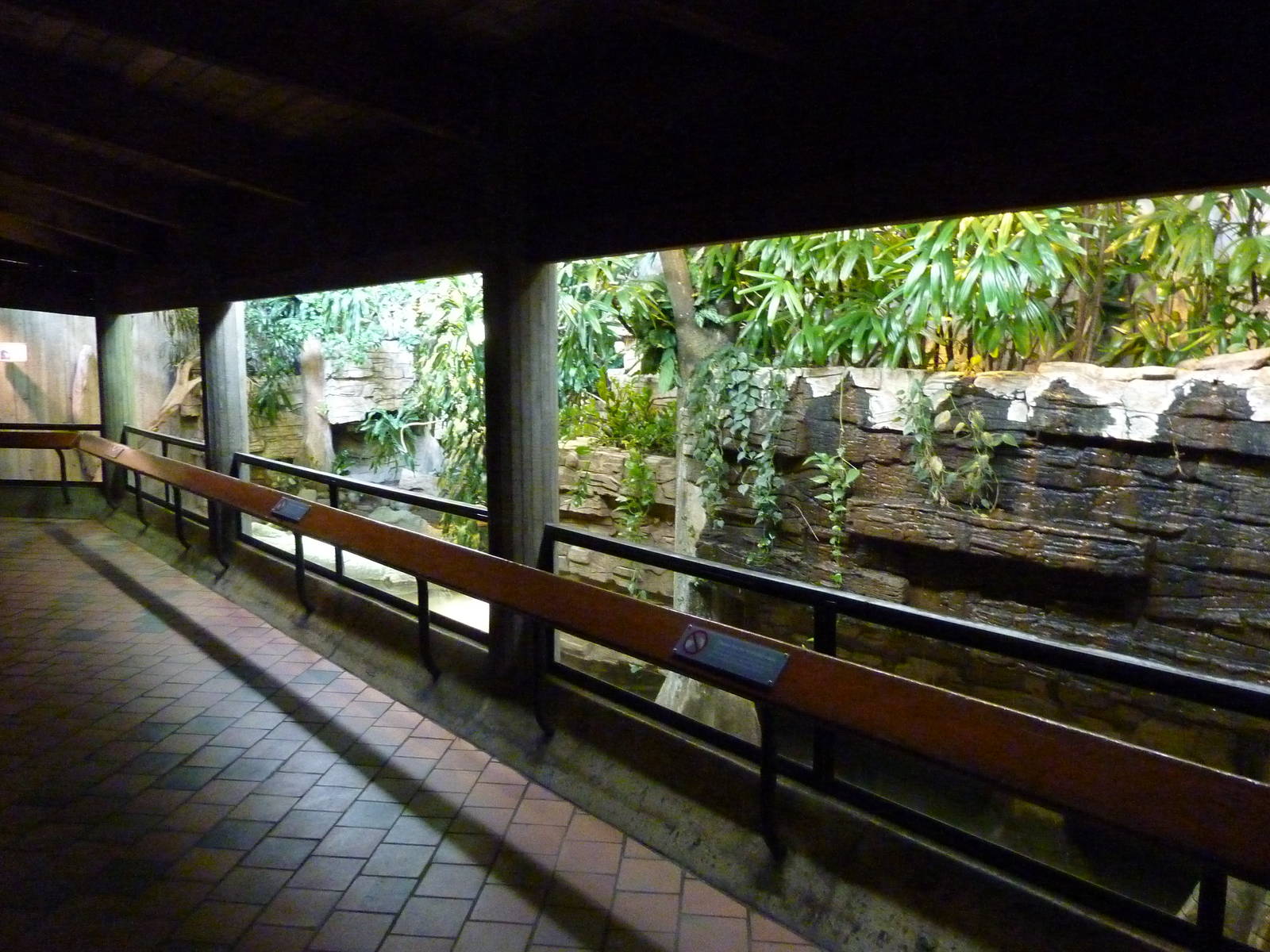 Yellow-Spotted Sideneck Turtle Exhibit