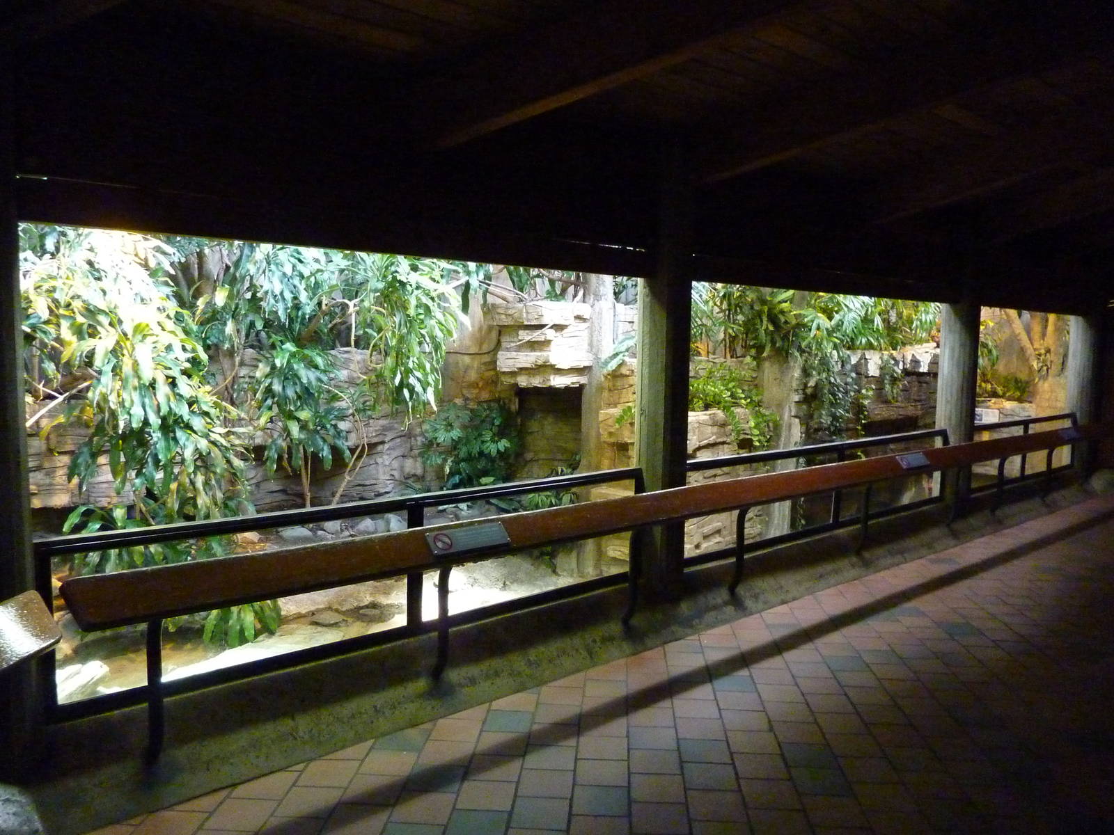 Yellow-Spotted Sideneck Turtle Exhibit