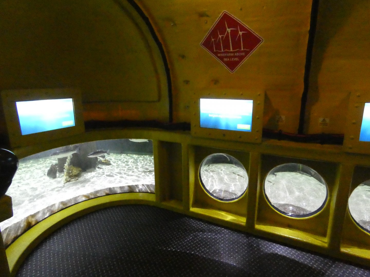Yellow Submarine viewing area
