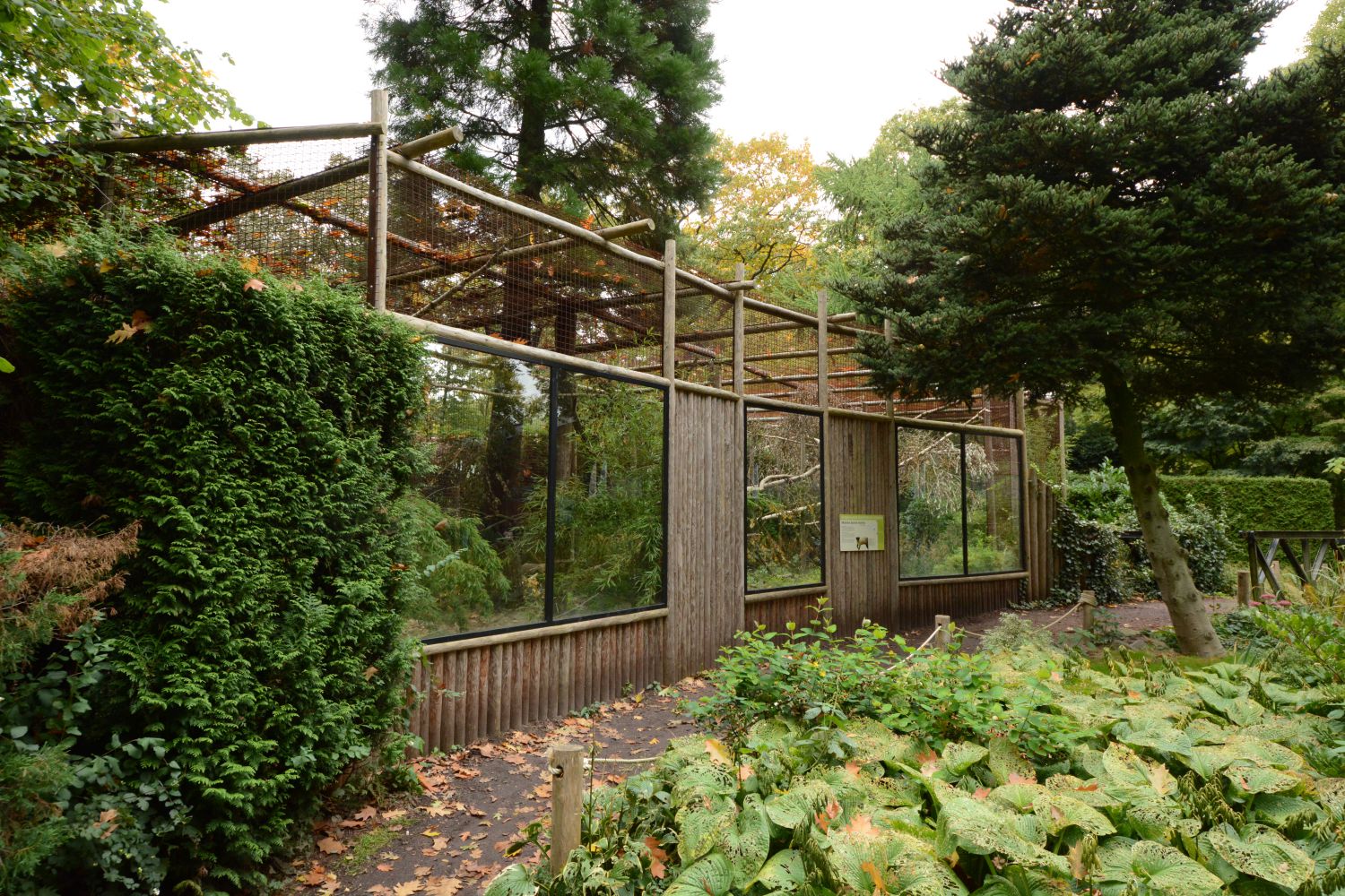 Yellow-throated marten enclosure