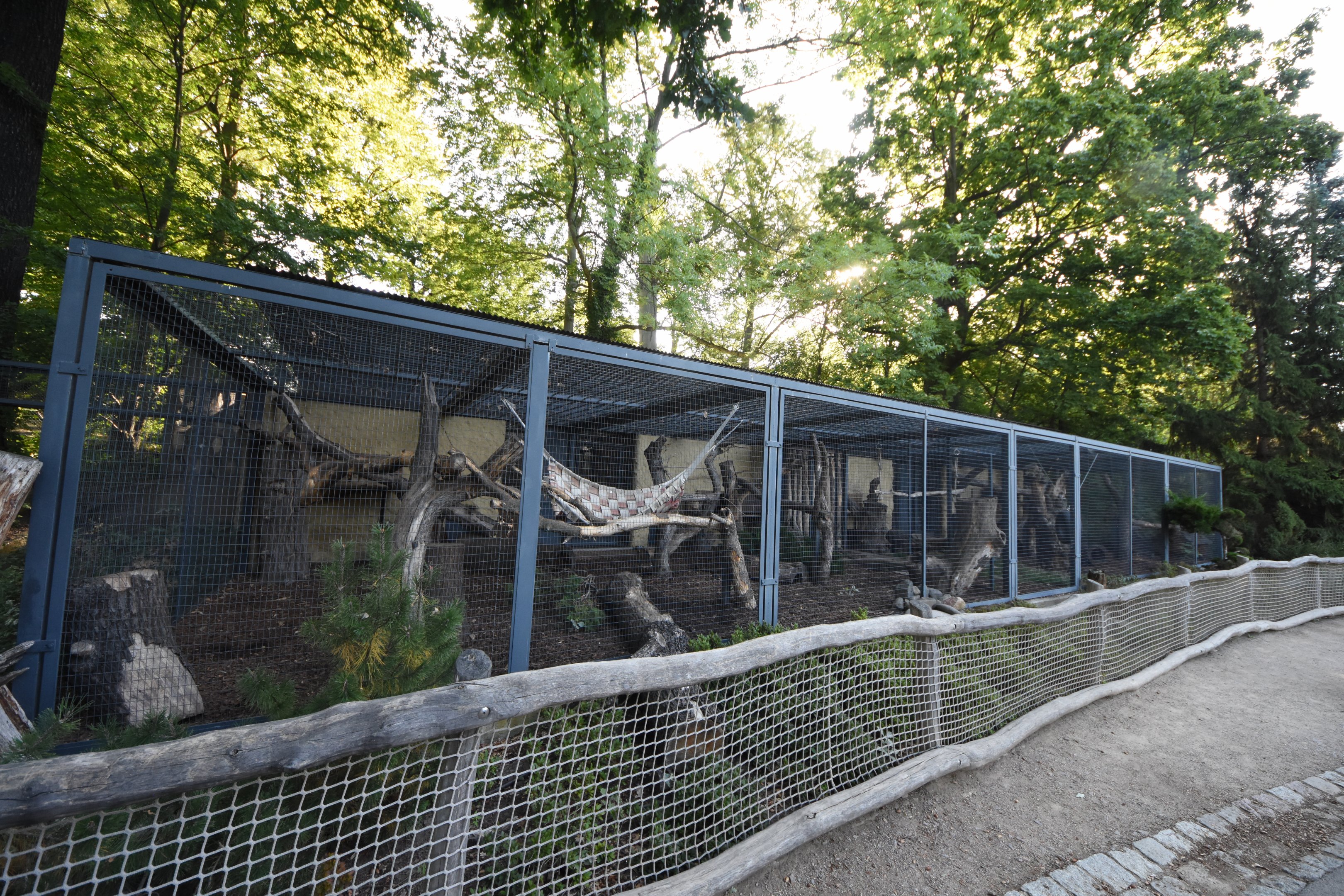 Yellow-throated marten enclosure