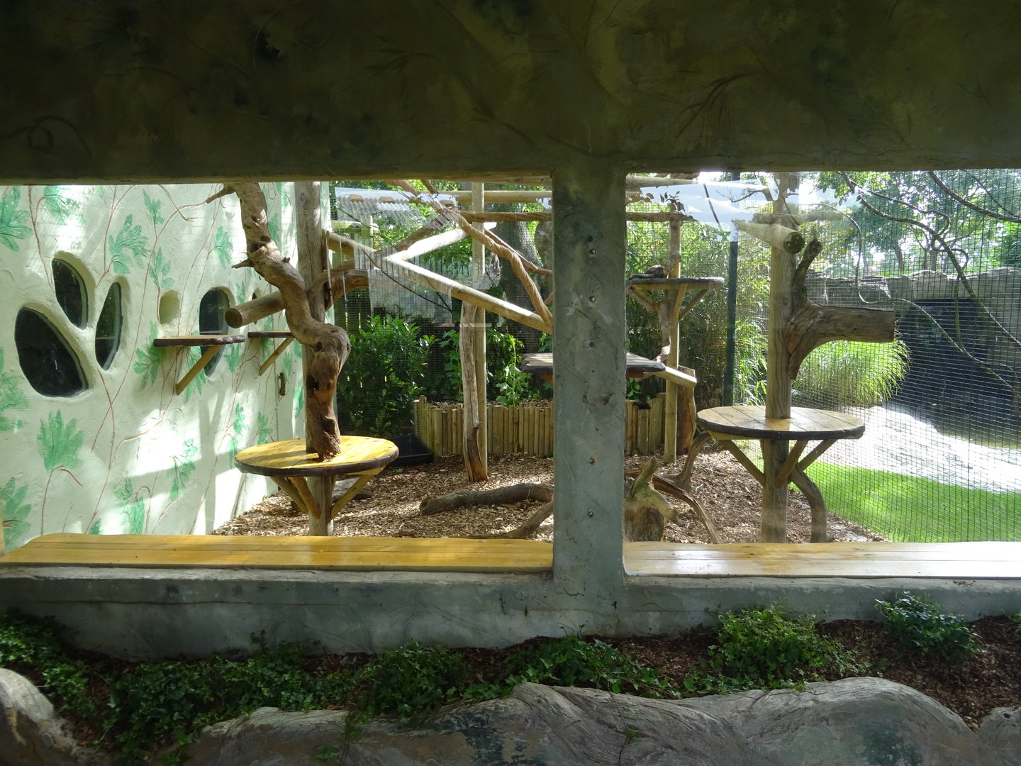 Yellow-Throated Marten Enclosure