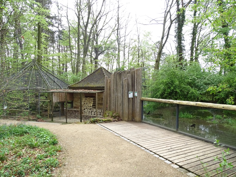Yellow-throated marten enclosure