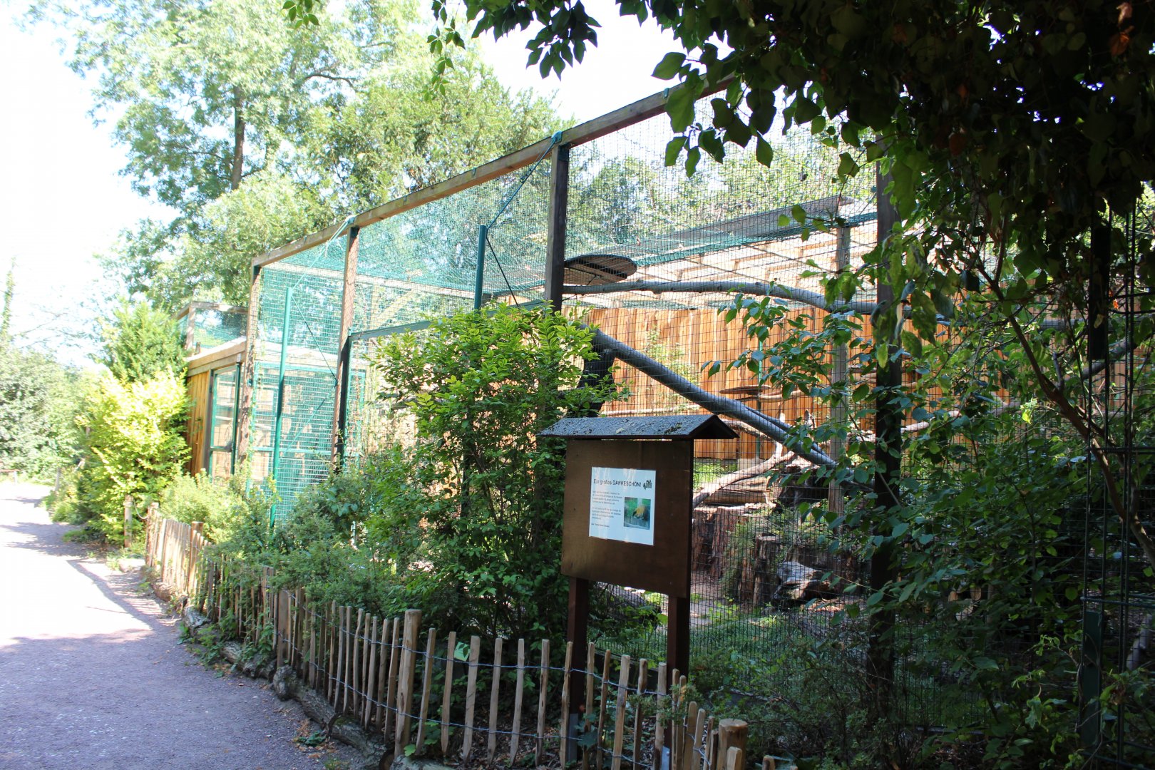 Yellow-throated Marten Enclosures - July 2019