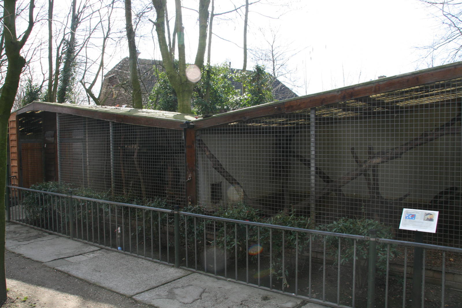 Yellow-throated marten exhibit