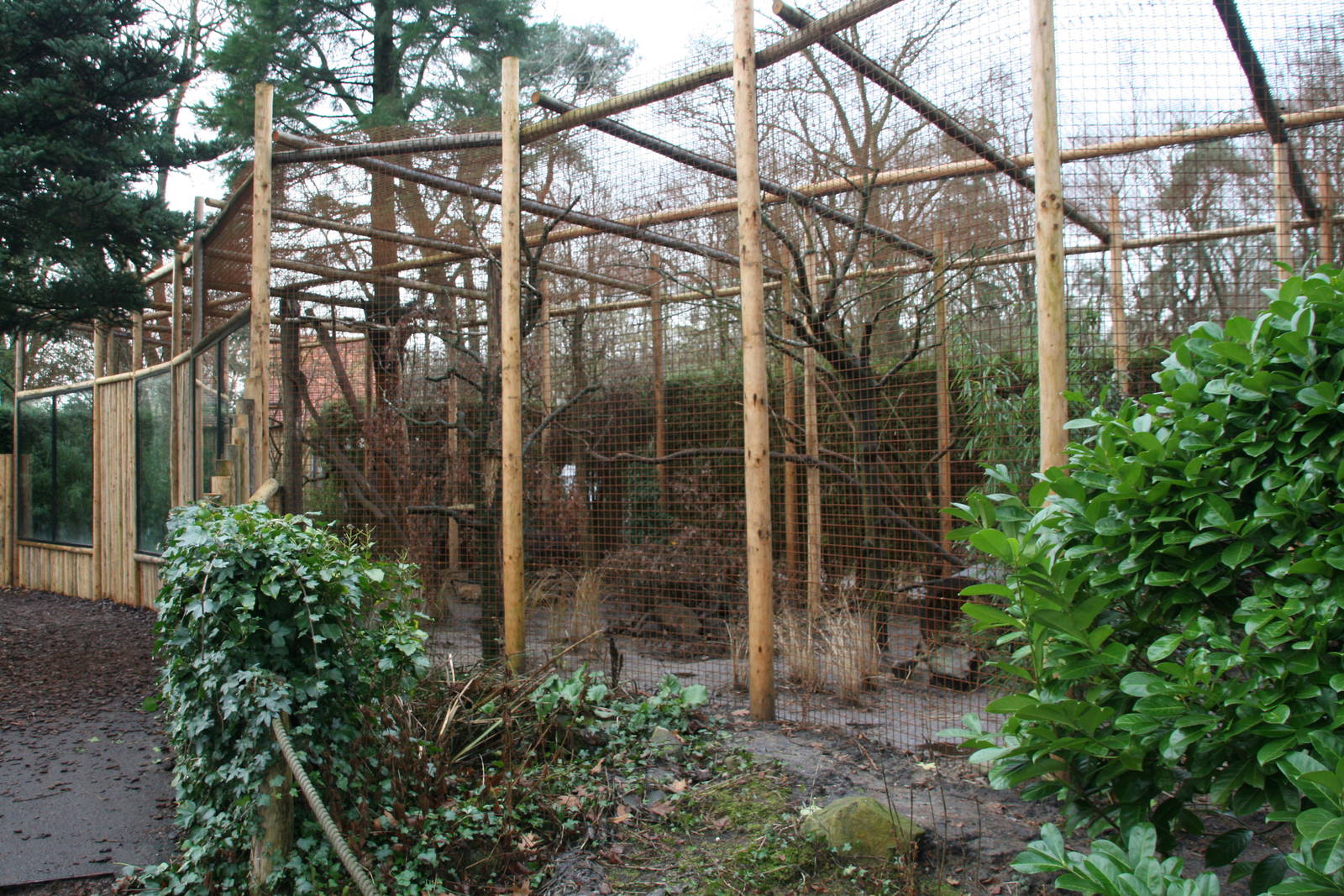 Yellow-throated marten exhibit