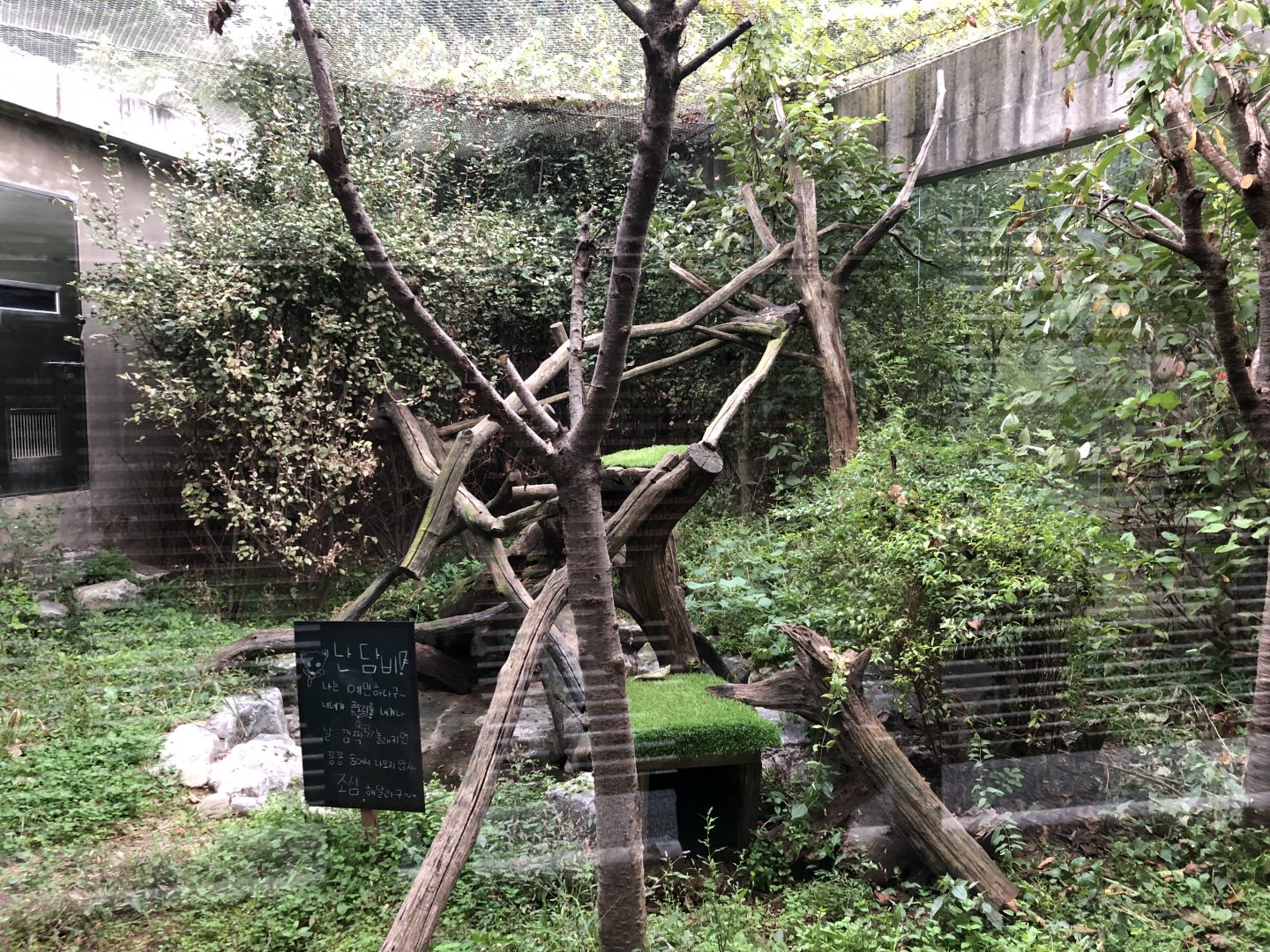 Yellow-Throated Marten Exhibit