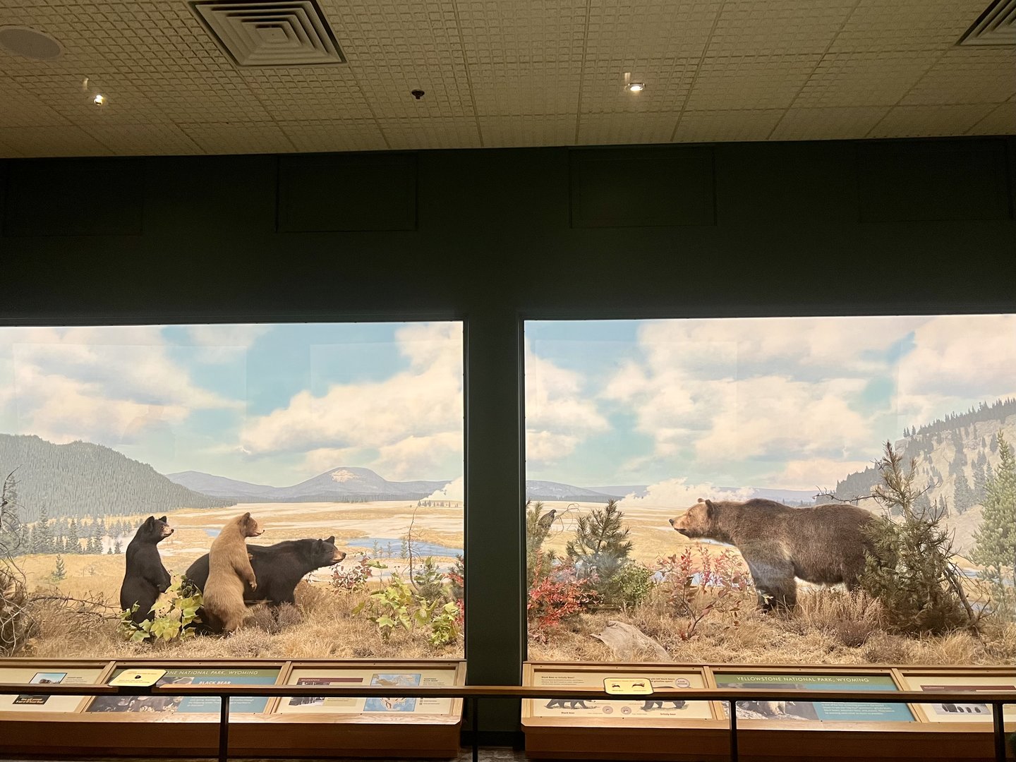 Yellowstone Diorama