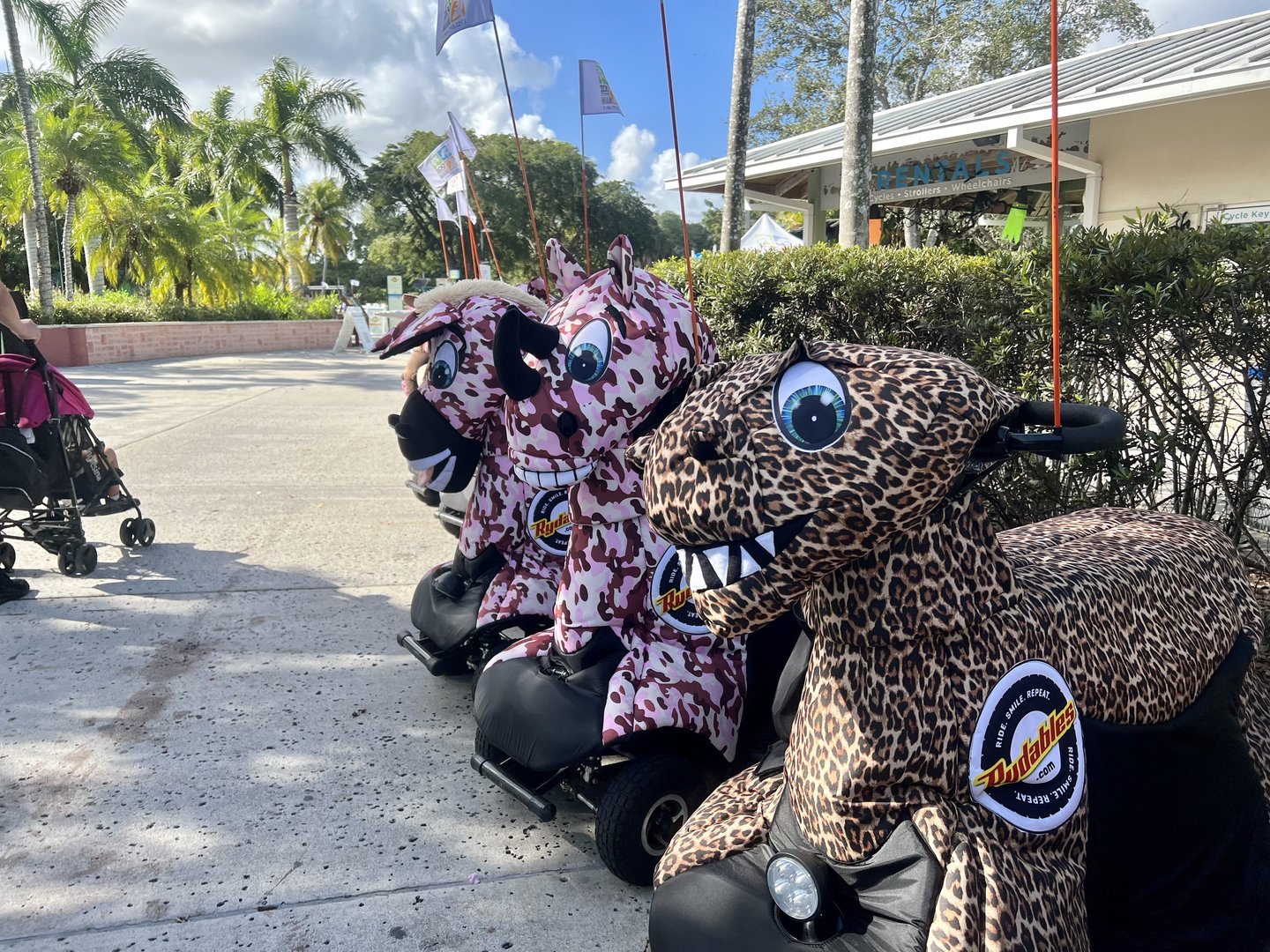 Yep.  Should have rented one.