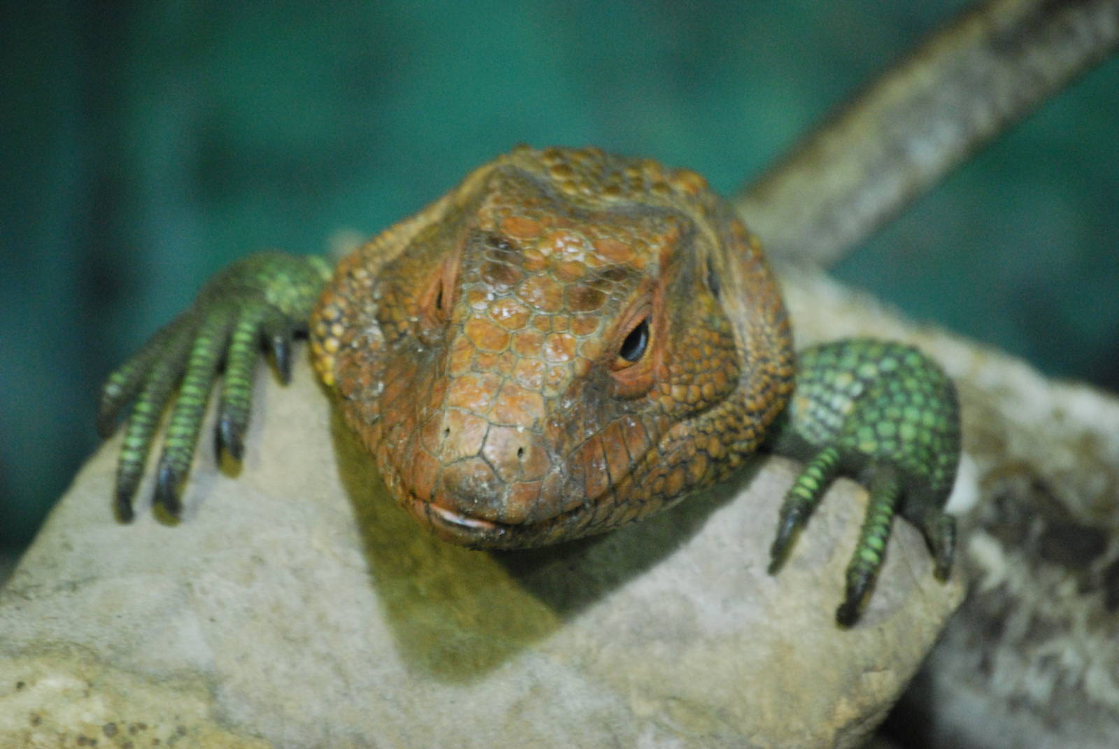 Yes, do you have a problem?