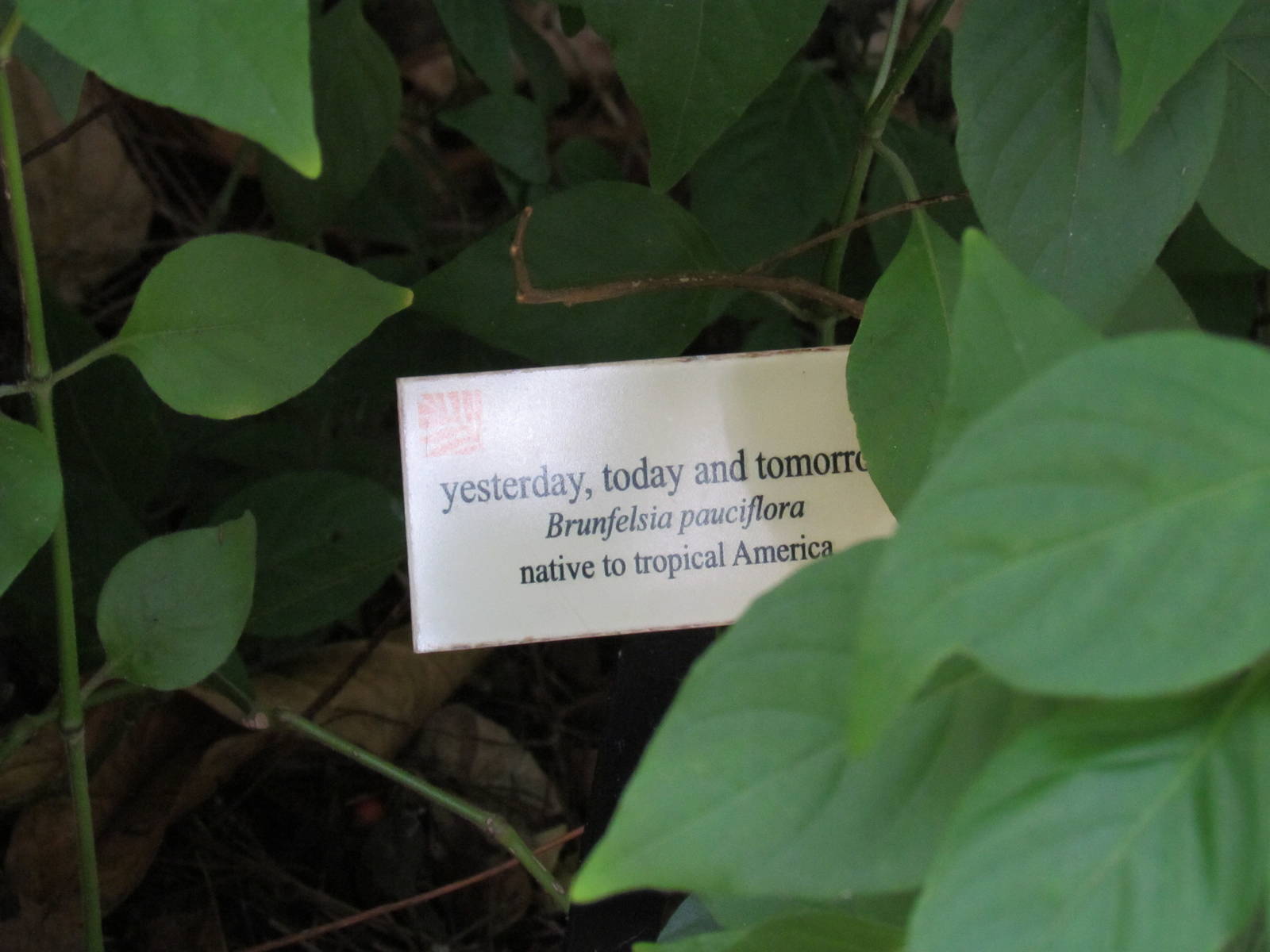 Yesterday Today and Tomorrow