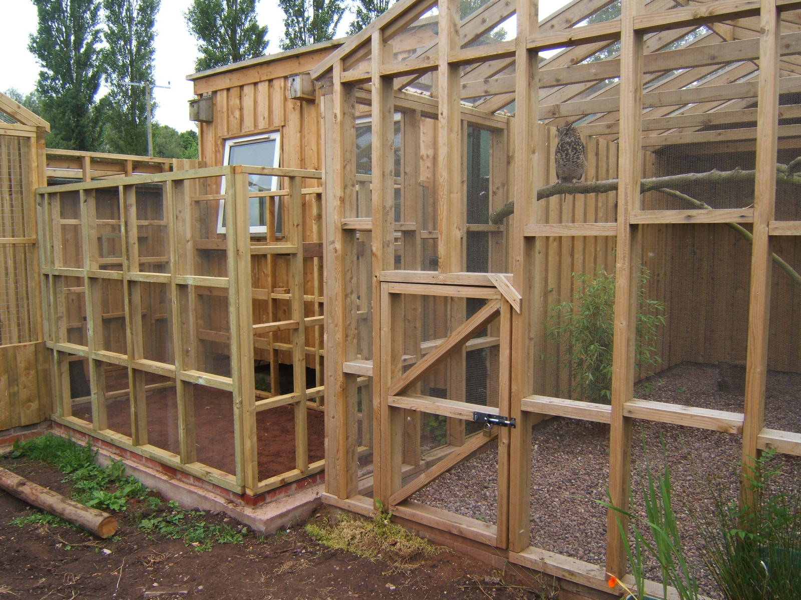 Yet another new aviary going up