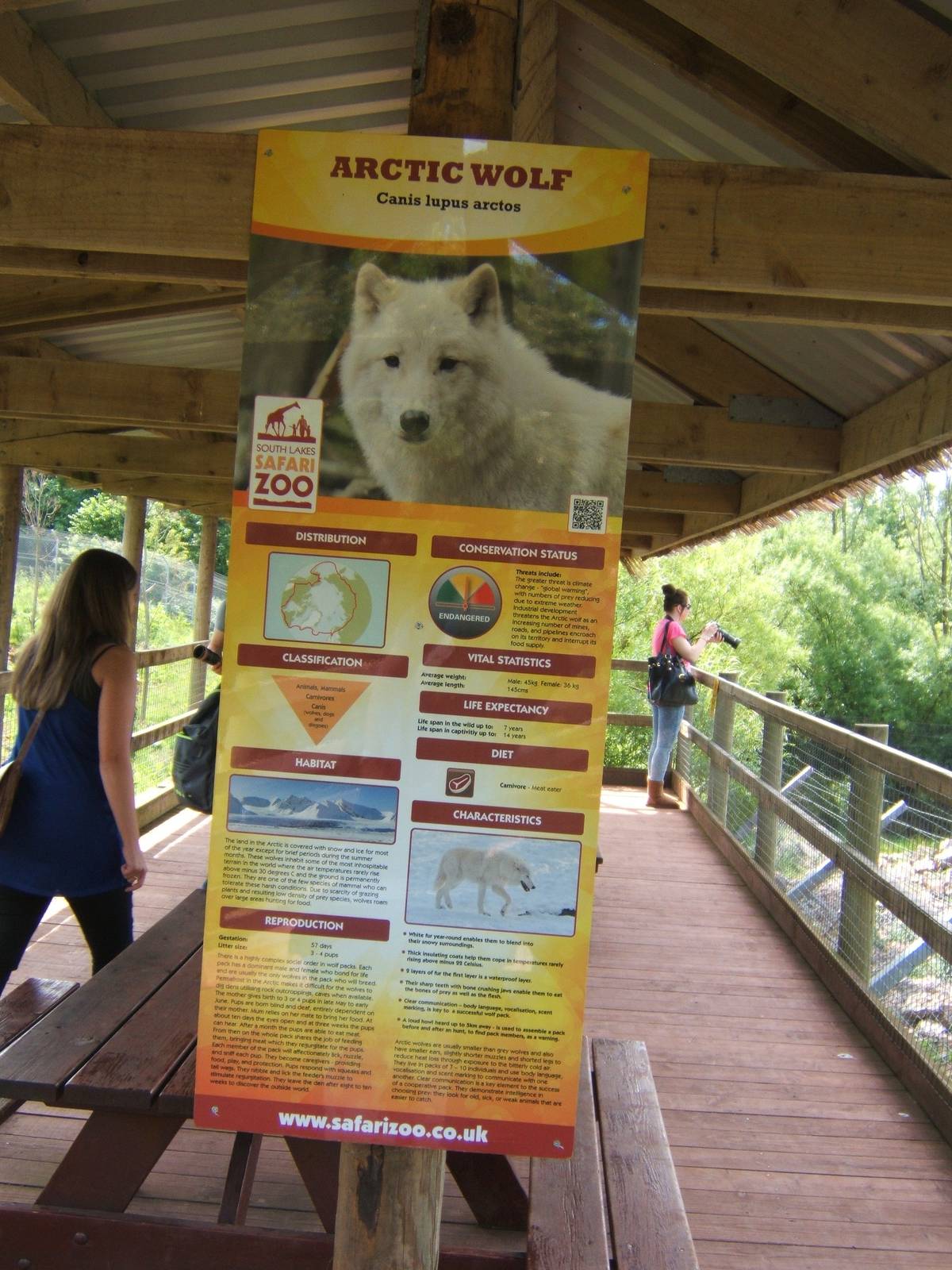 Yet another wrong sign