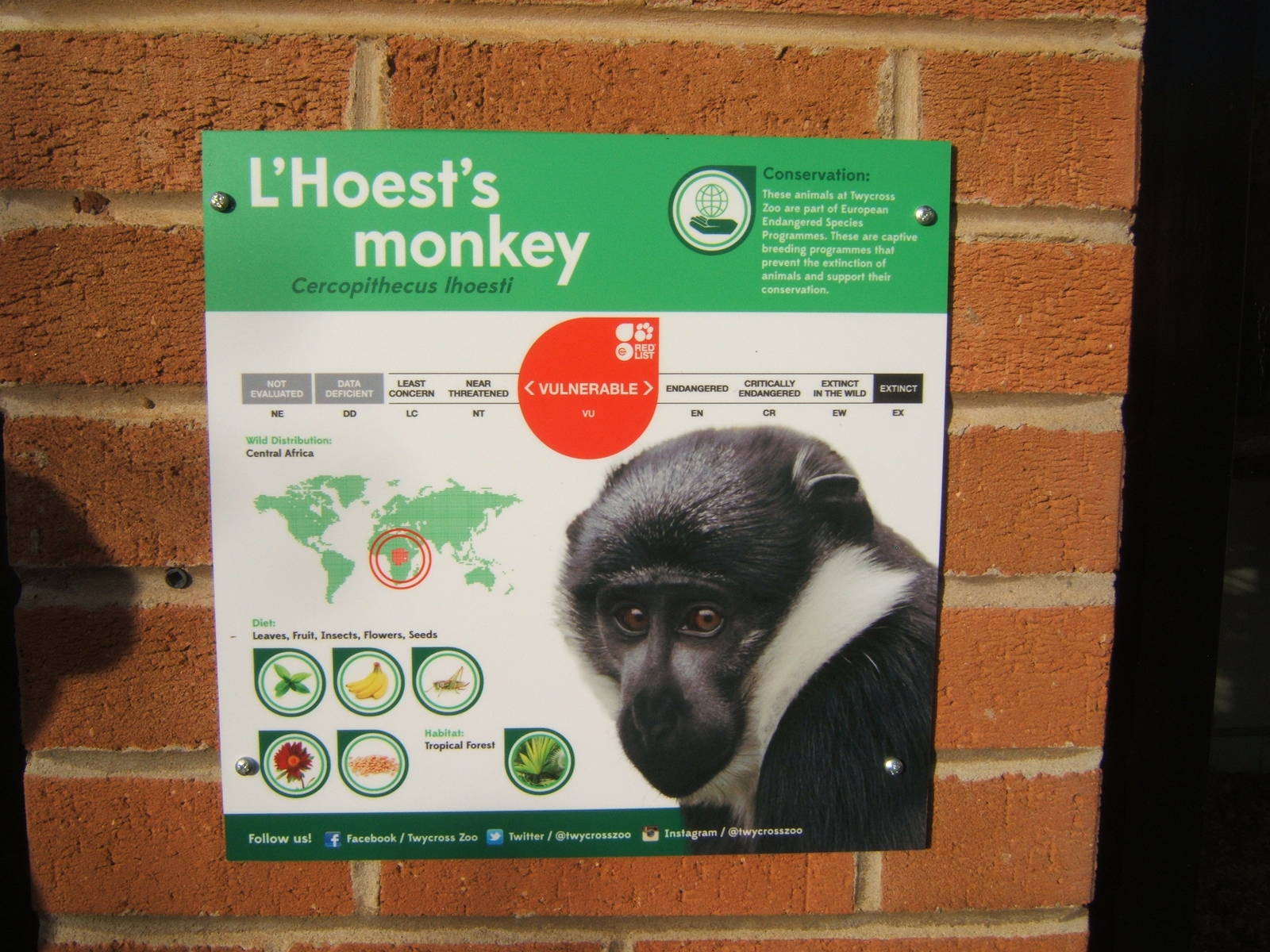 Yet more new style signage