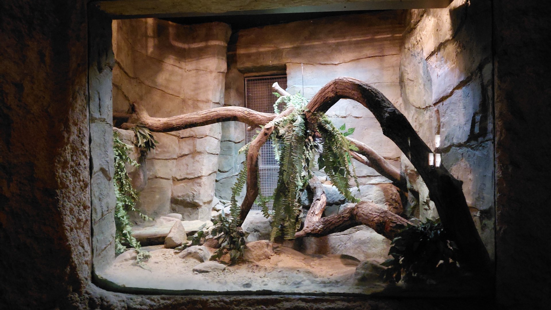 Yet unoccupied exhibit