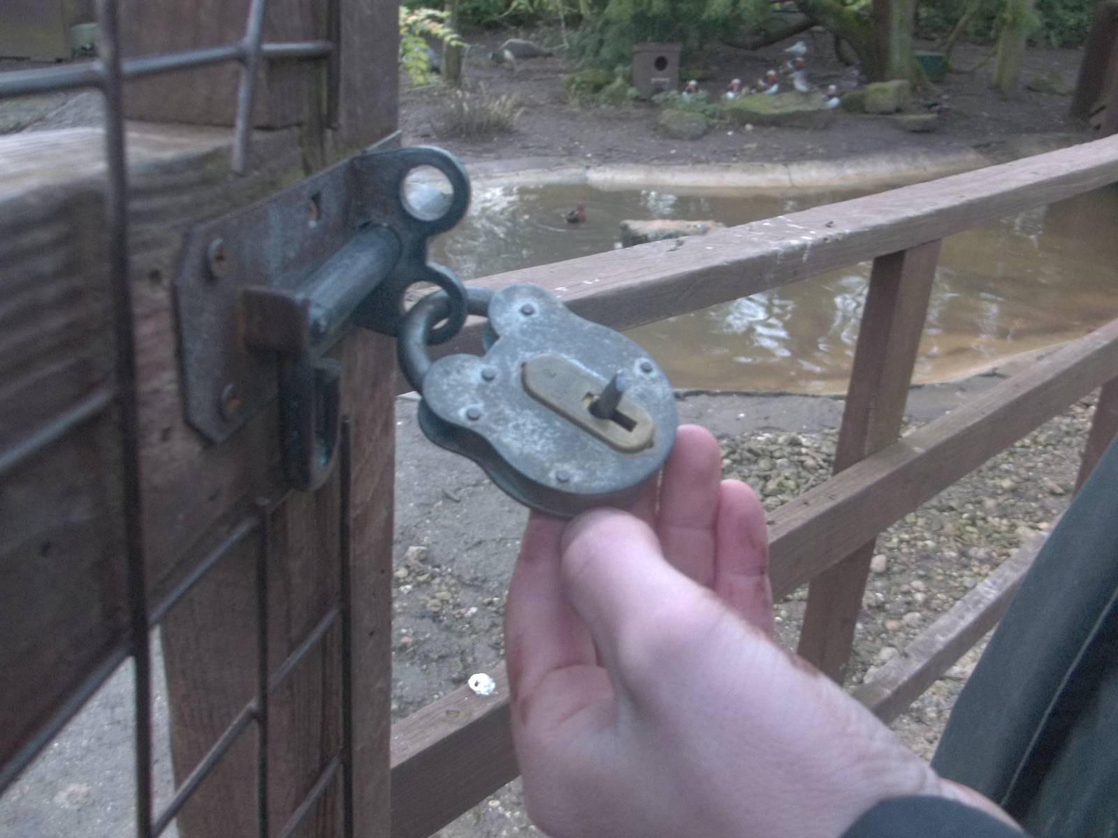 Yikes! 24th January 2015