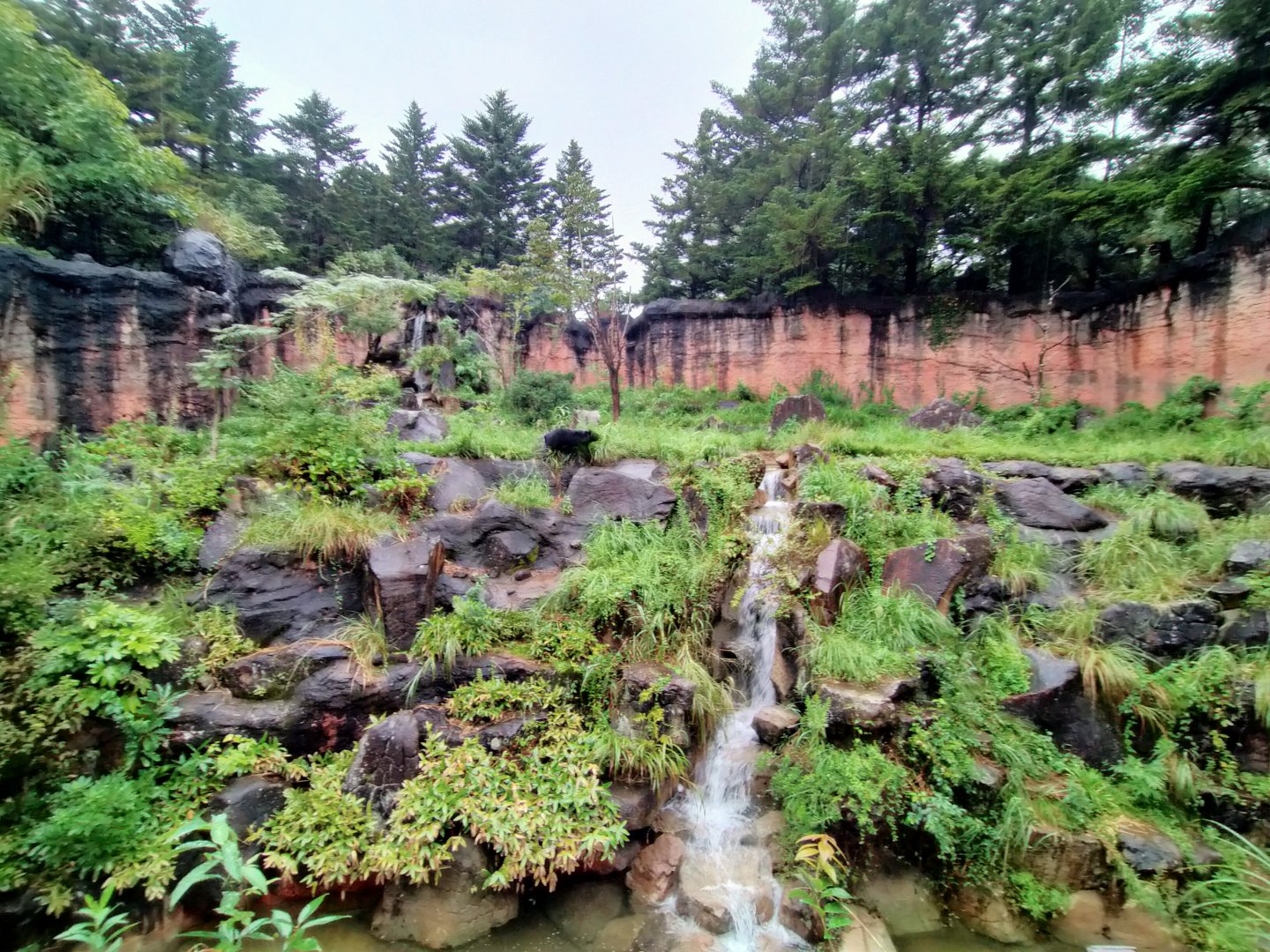 Yokohama Zoorasia japanese black bear enclosure