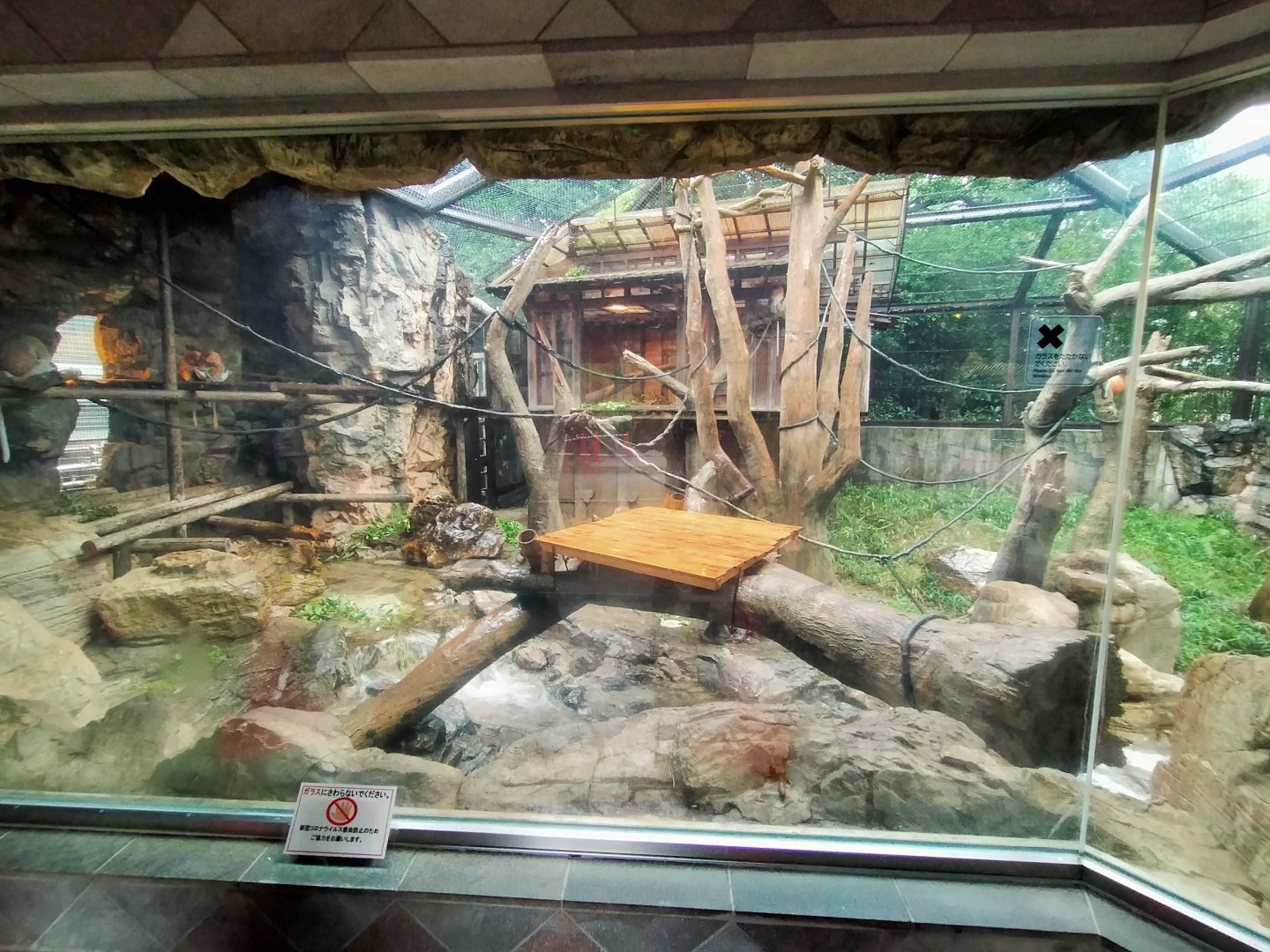 Yokohama Zoorasia proboscis monkey enclosure