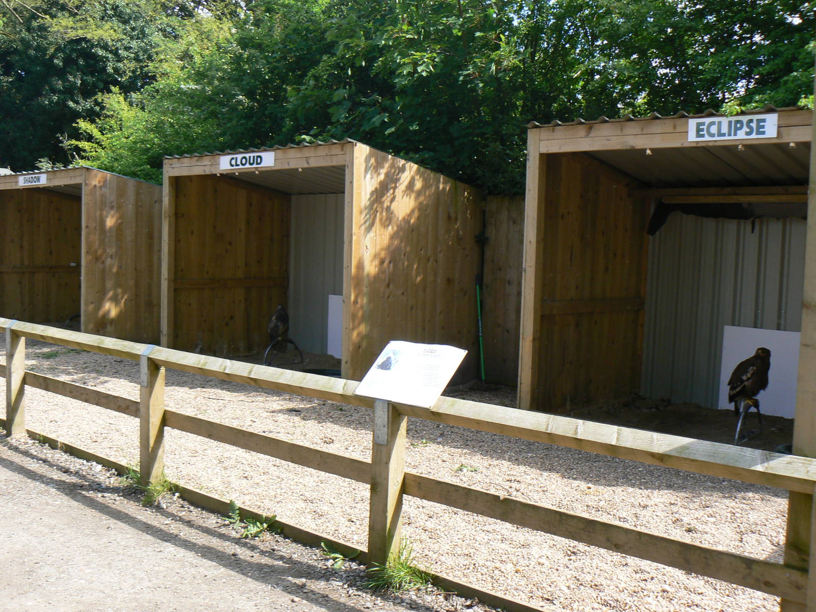 York Bird Of Prey Centre