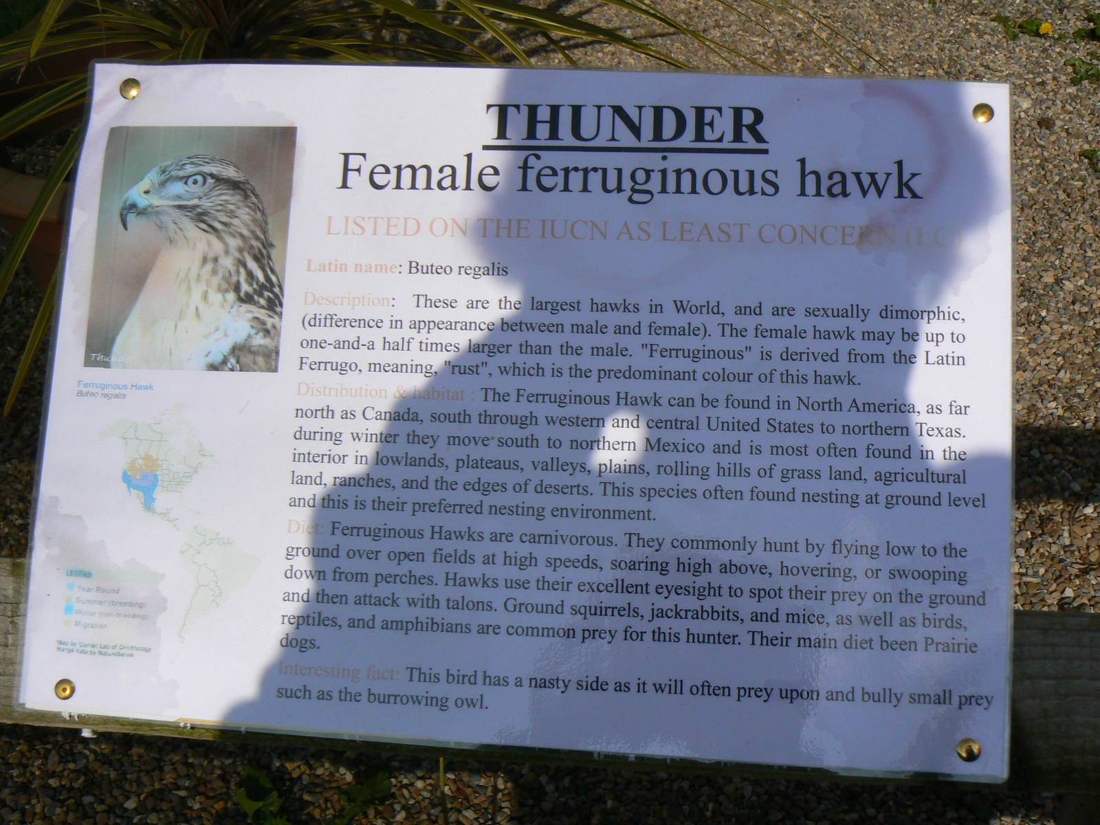 York Bird Of Prey Centre