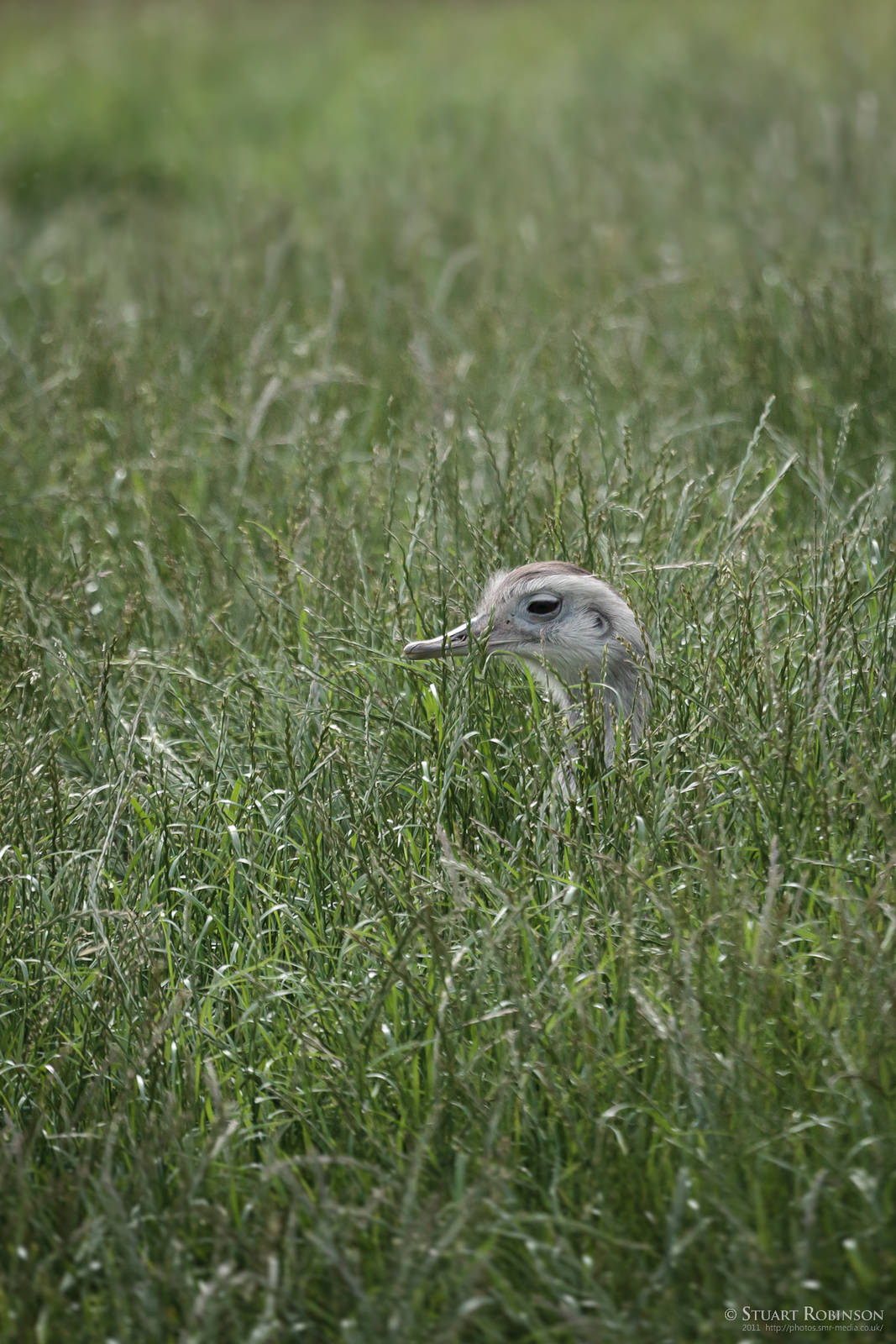 You aint seen me, right!?