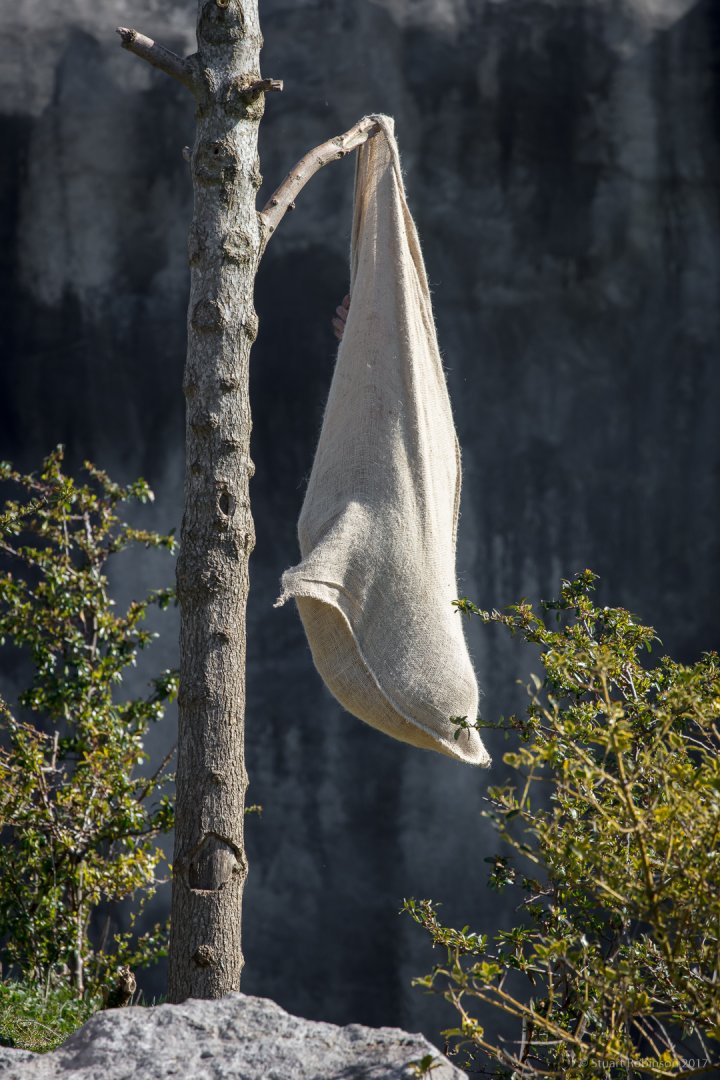 You ain't seen me, right! - 19/03/2018