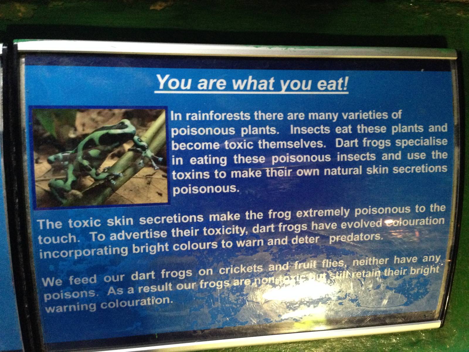 You Are What You Eat Signage at Blue Planet Aquarium - 05/10/20