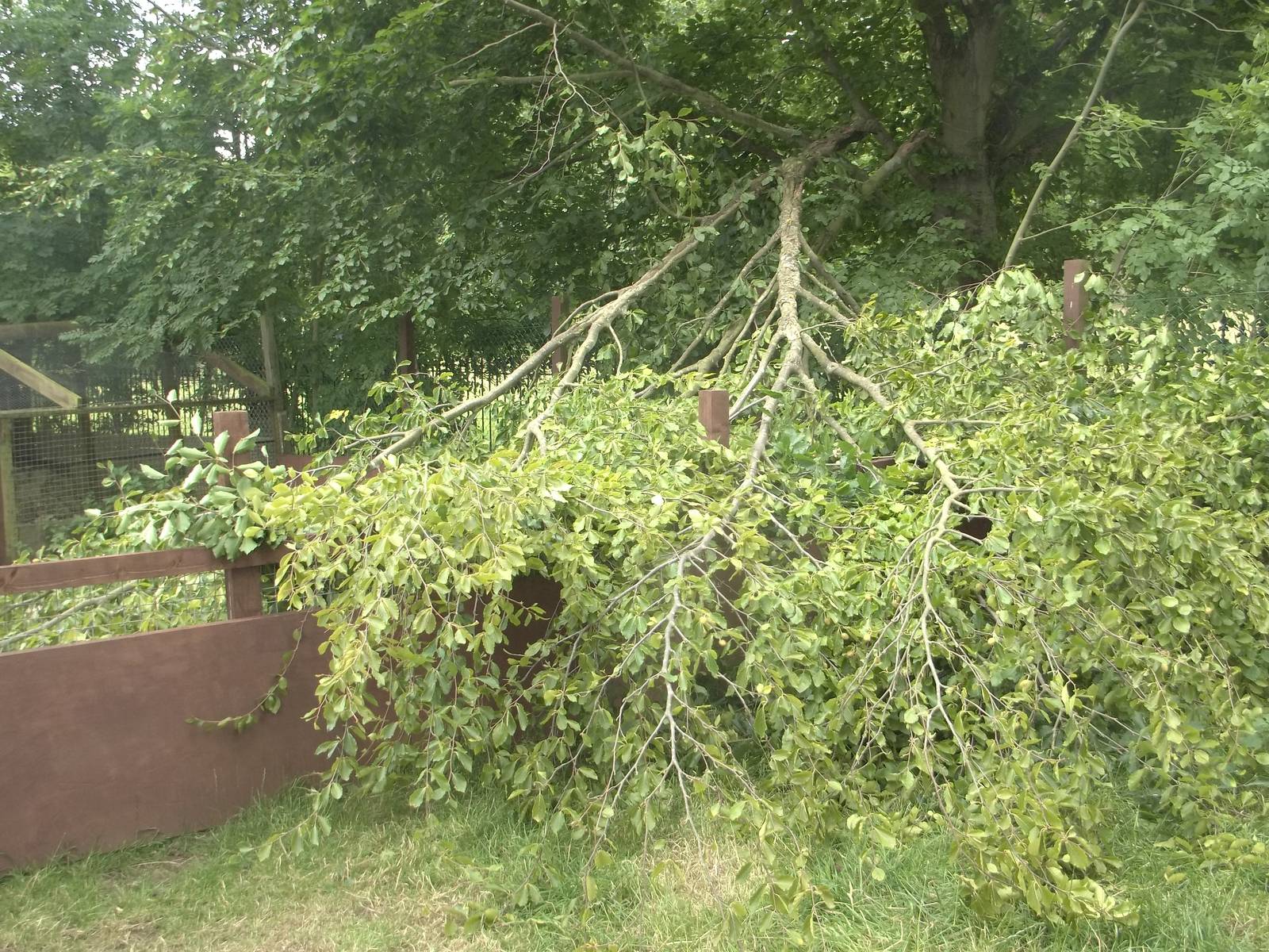 You build a nice extension, and then..., 19th July 2015