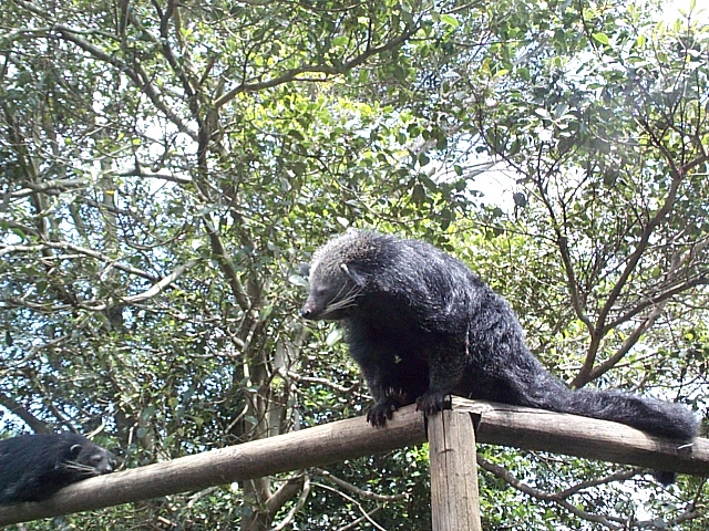 you can't sleep there!