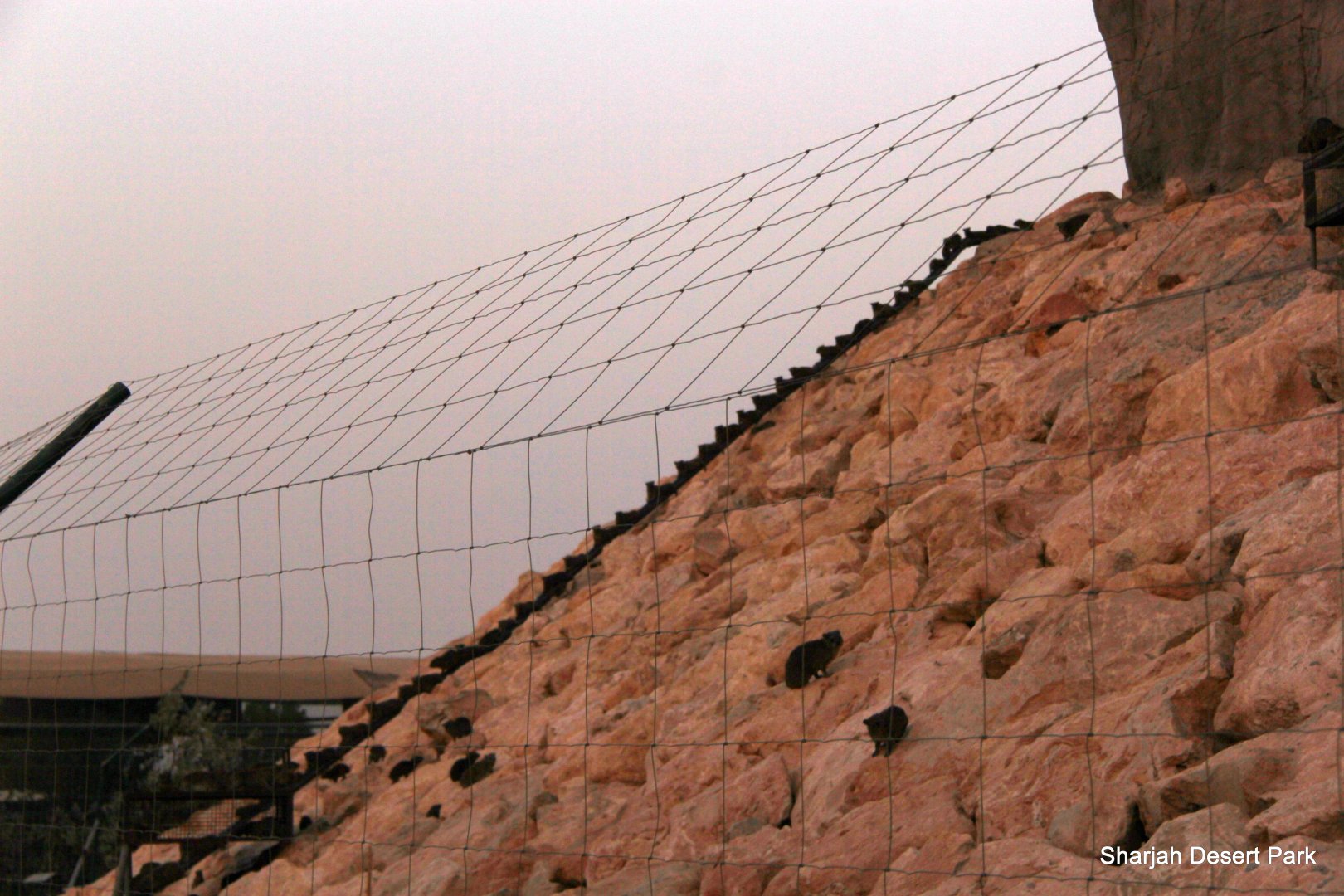 You Guess! Sept 2018