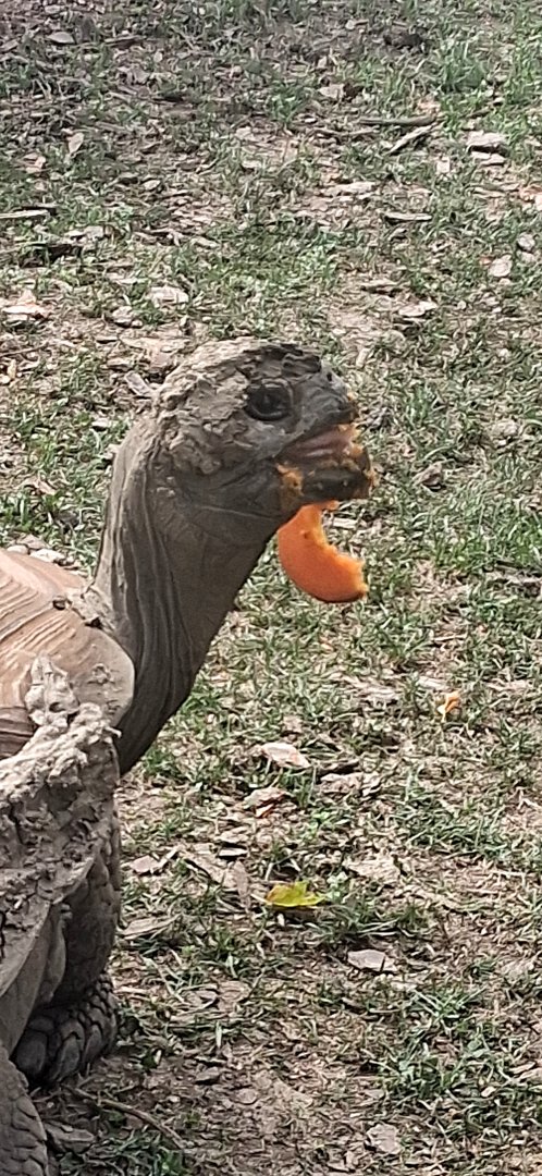 You have a little something there