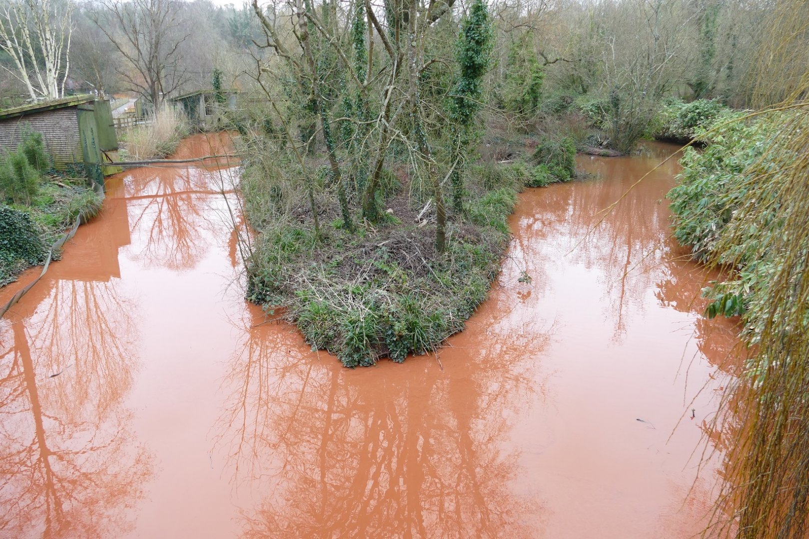 You know you're in South Devon when.....