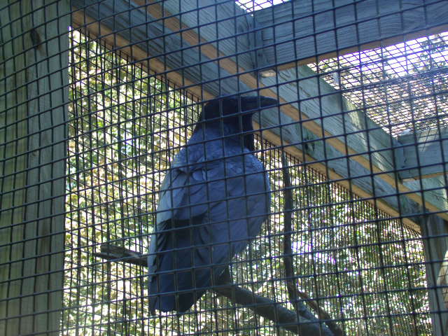 You looking for trouble, boy!