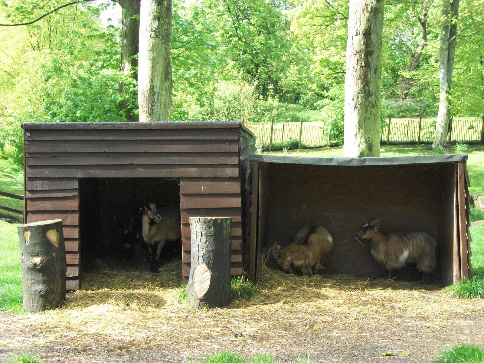 You may come out now, the sun is shining; 10th May 2014