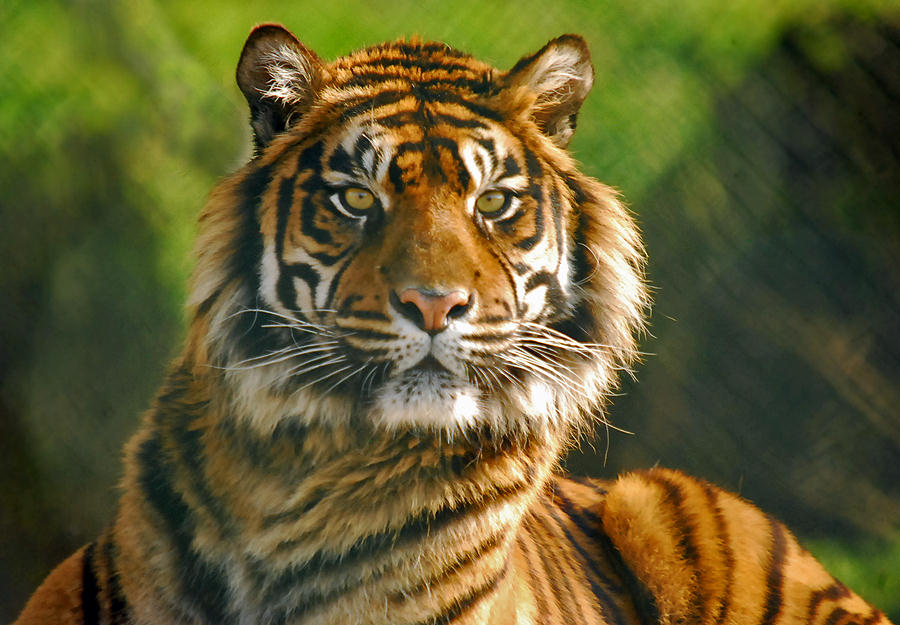 you_got_her_by_demonmoth-d4ubn6z