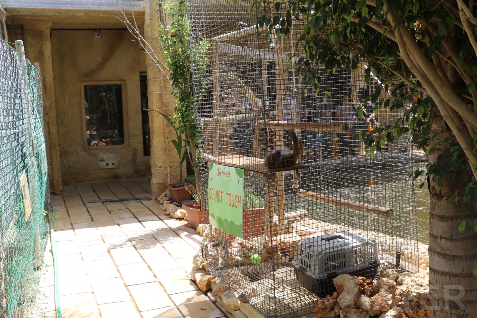 Young baboon enclosure - Wildlife Park Malta, June 2019