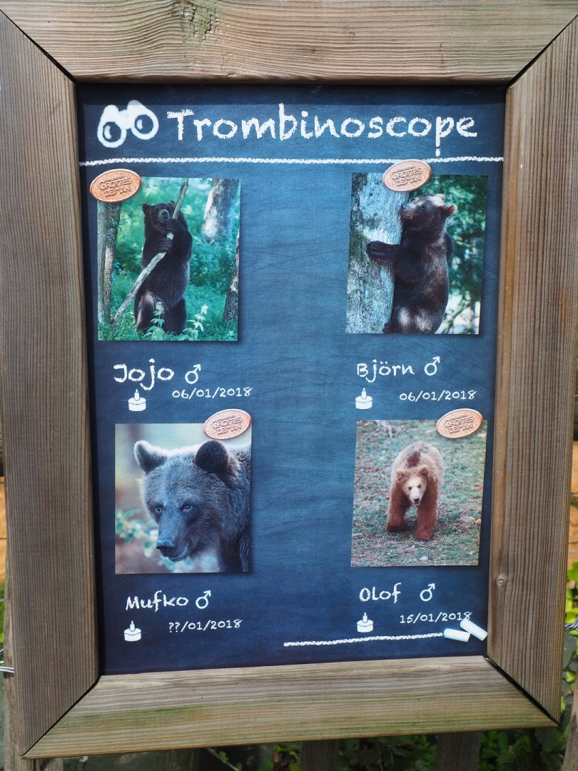 Young Eurasian brown bears identification signage, 2021-08-15