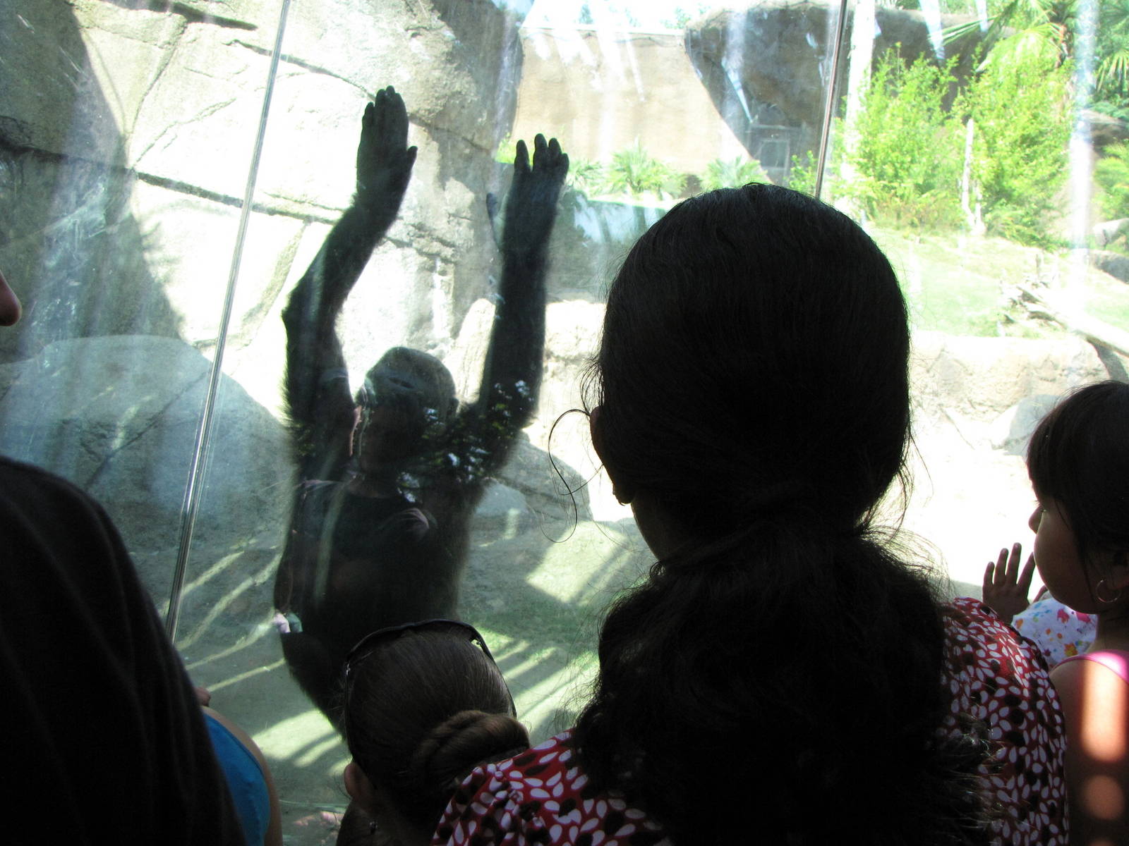 Young Glenda Entertaining Visitors