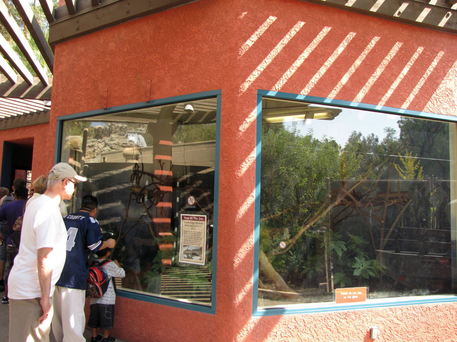 Young Komodo Dragon Exhibit - Children's Zoo