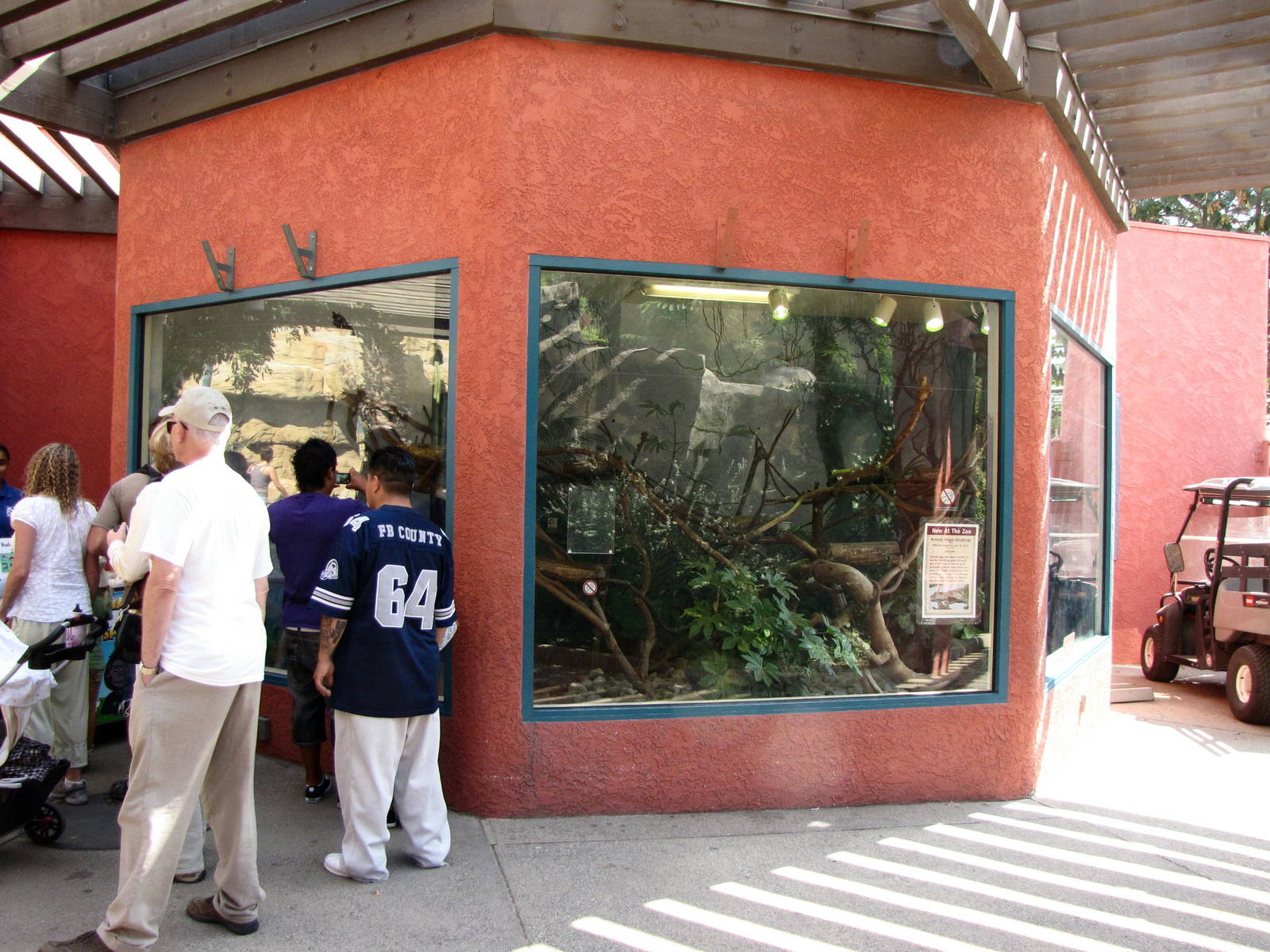 Young Komodo Dragon Exhibit - Children's Zoo