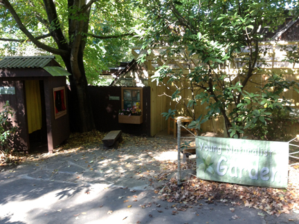 Young Naturalist's Garden