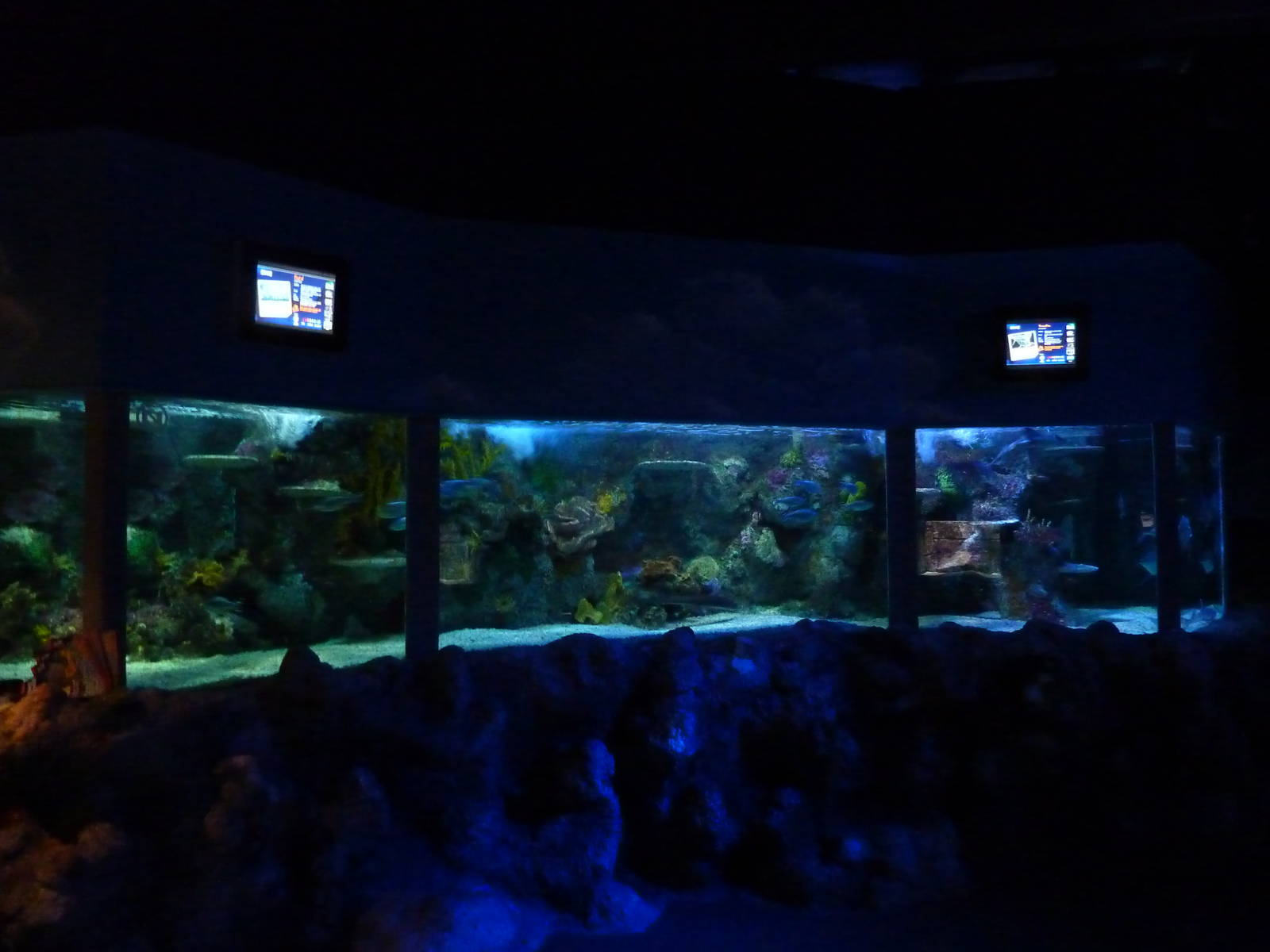 Young shark tank, 8th Feb 2012