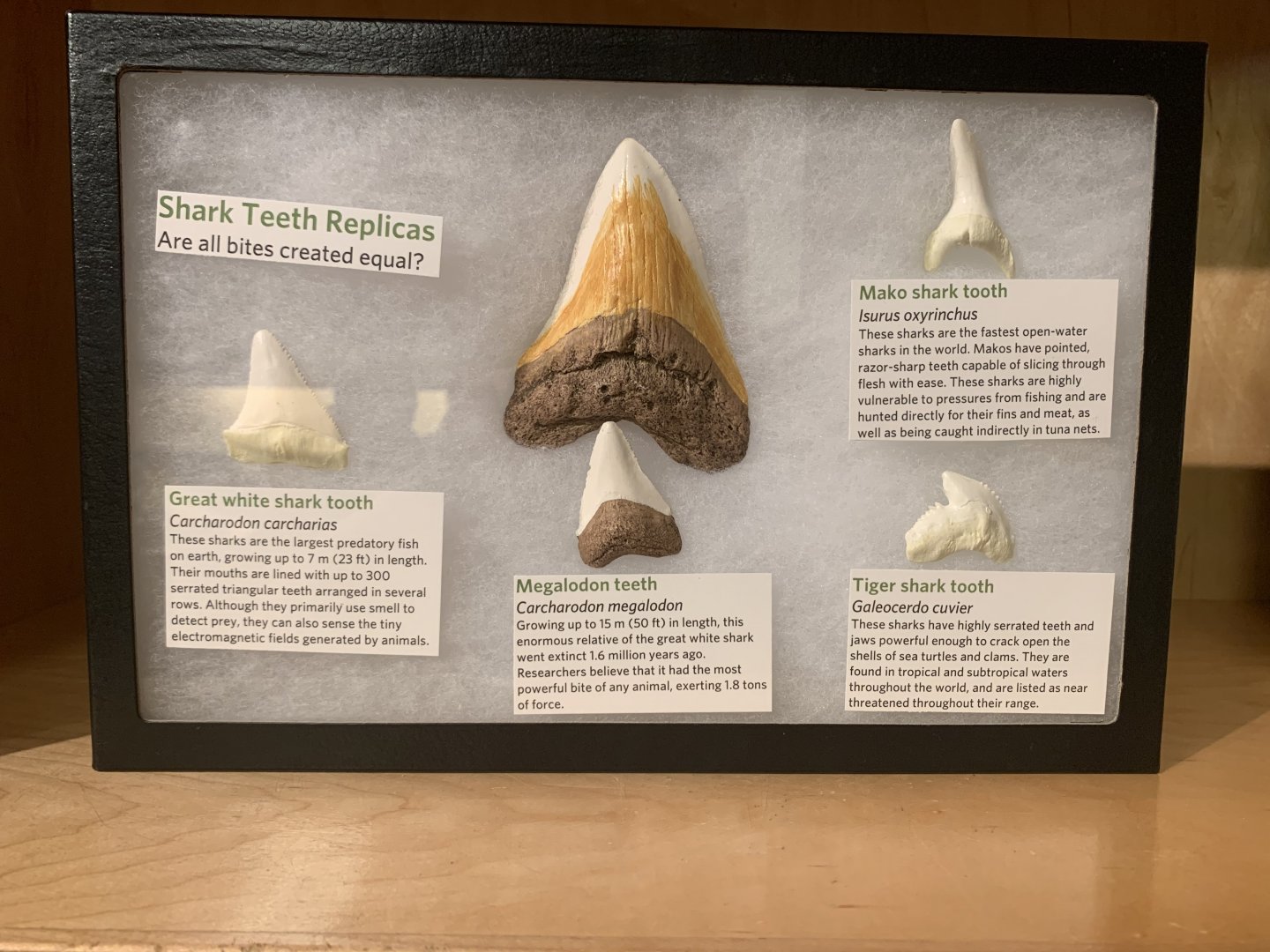 "You're gonna need a bigger boat."