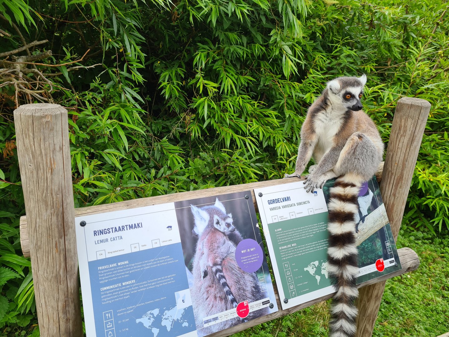 You're sitting on the wrong sign!