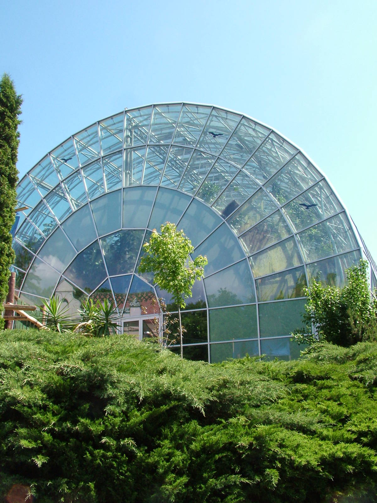 Yucatan Hall at Zlin, 28/05/10