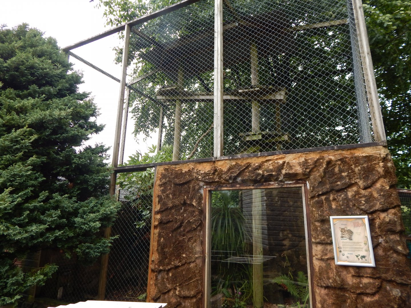Yucatan margay outdoor enclosure 050625