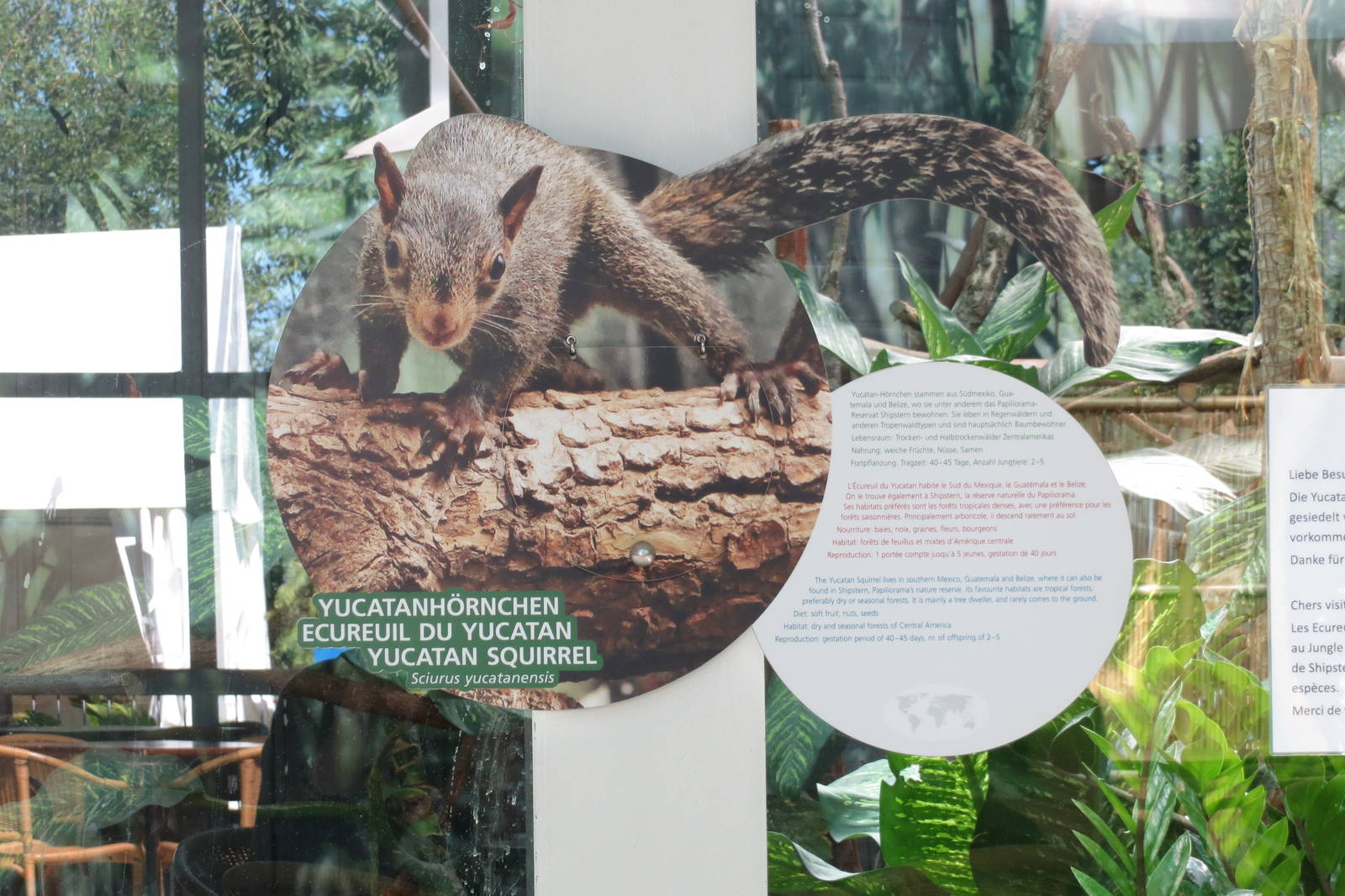 Yucatan Squirrel Sign 130816